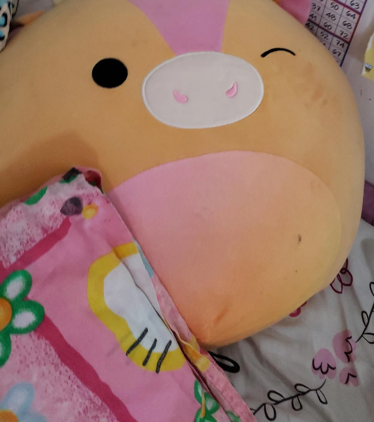 Squishmallow Plush Toy