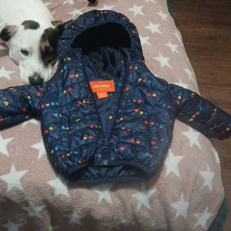 Joe Fresh Baby Puffer Jacket Hearts 6-12 Months