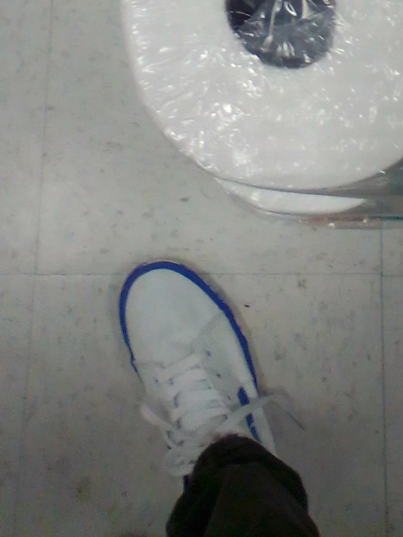 White Nike Sneakers with Blue Trim