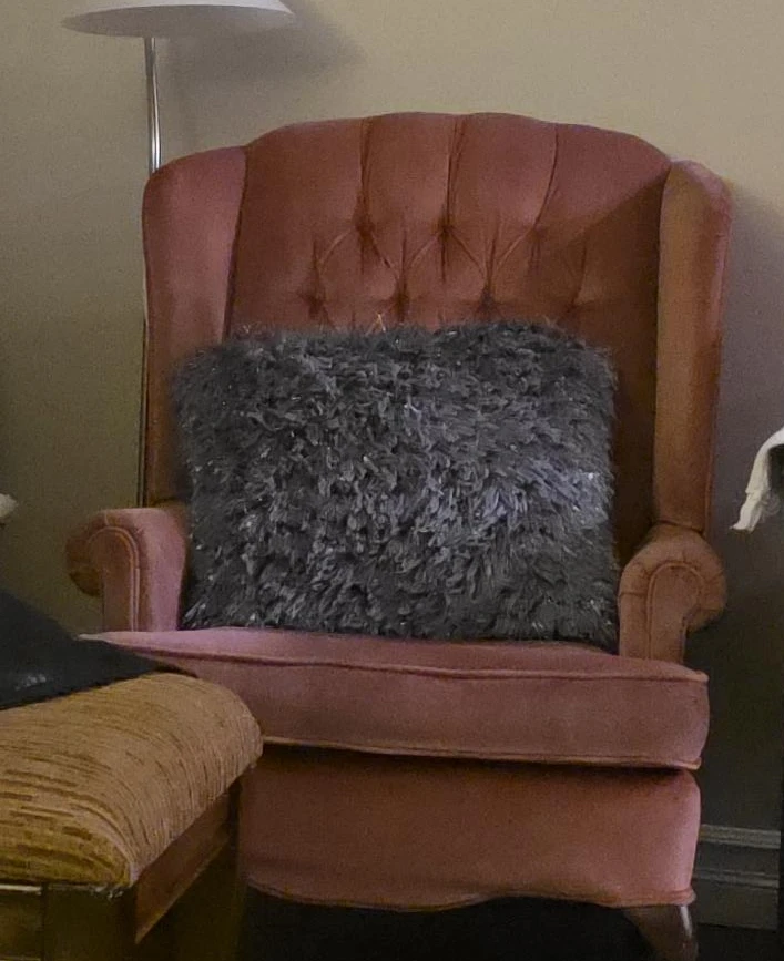 Pink Velvet Wingback Accent Chair