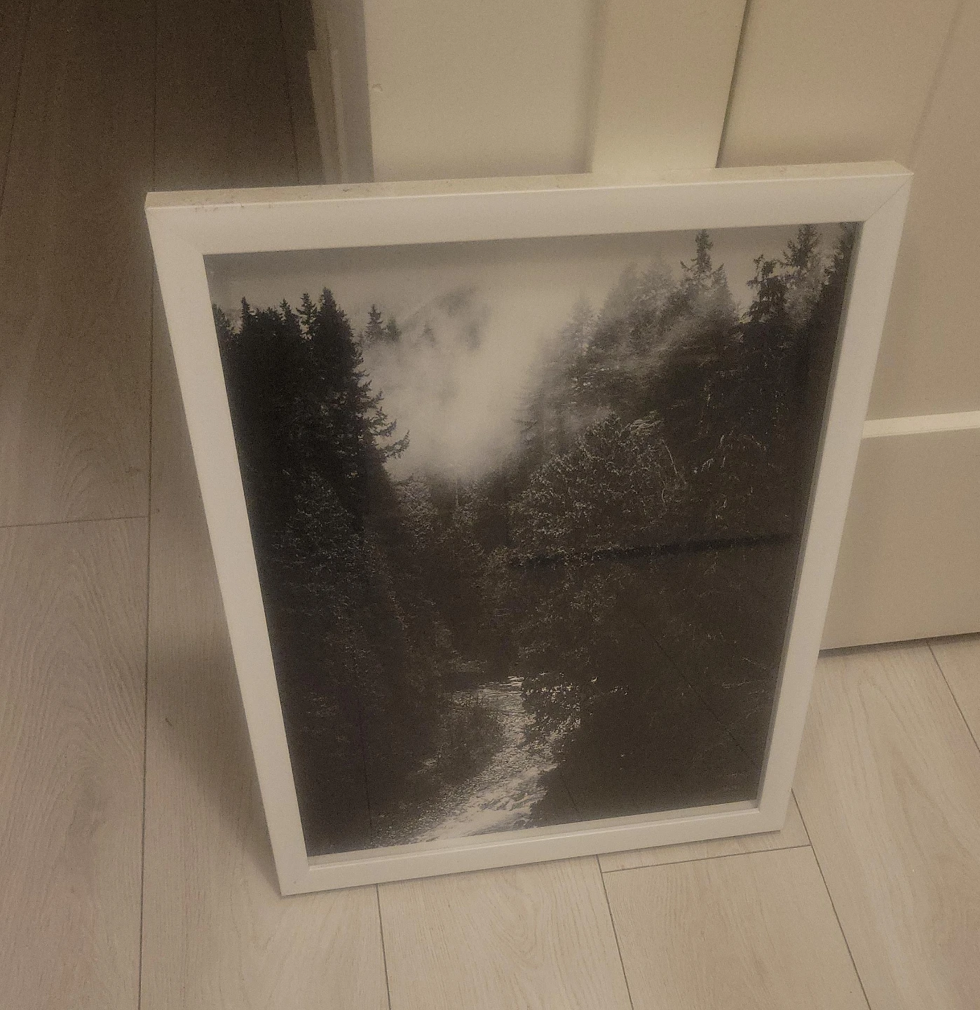 Framed Forest Landscape Print