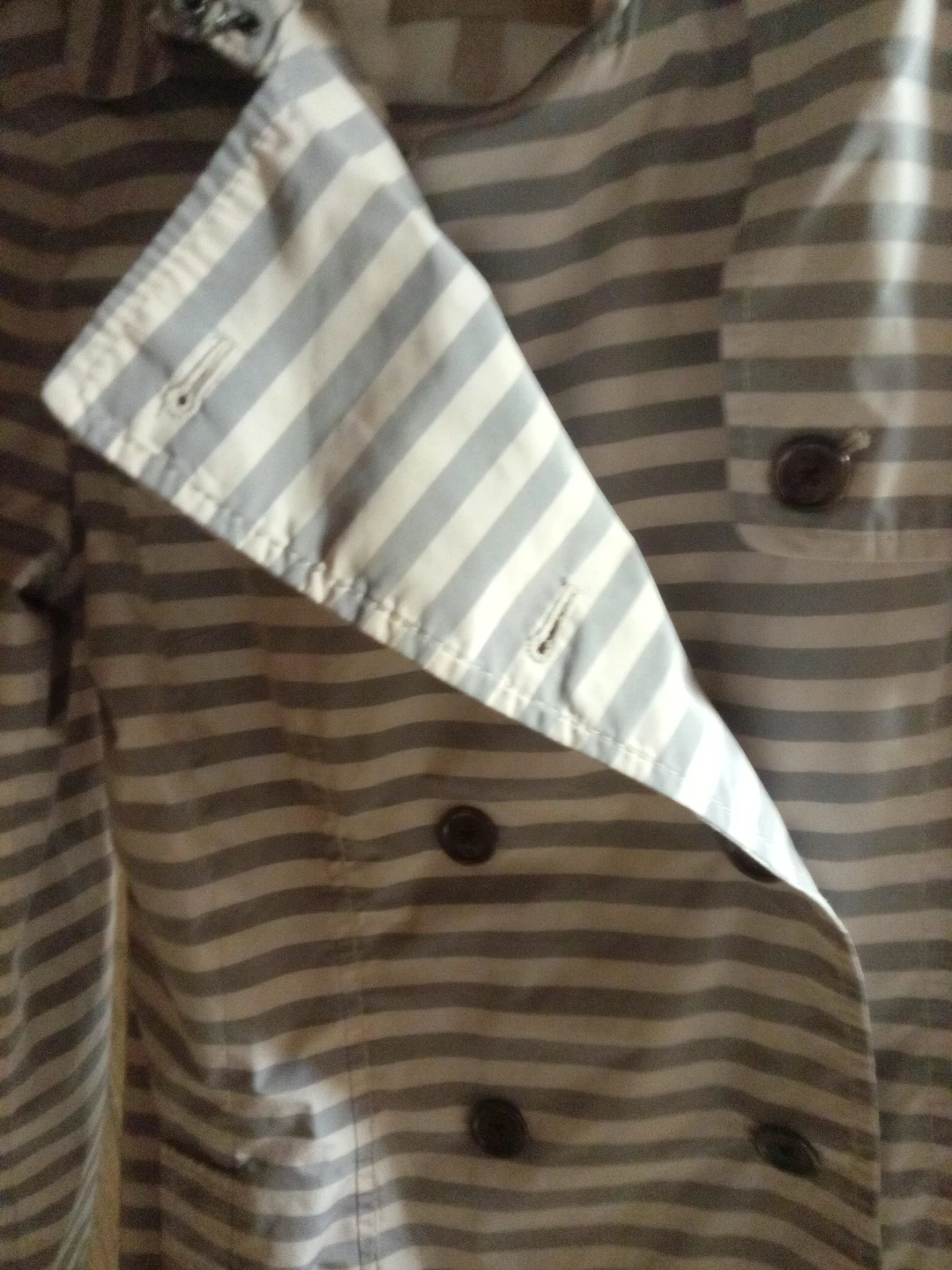 Banana Republic Striped Trench Coat