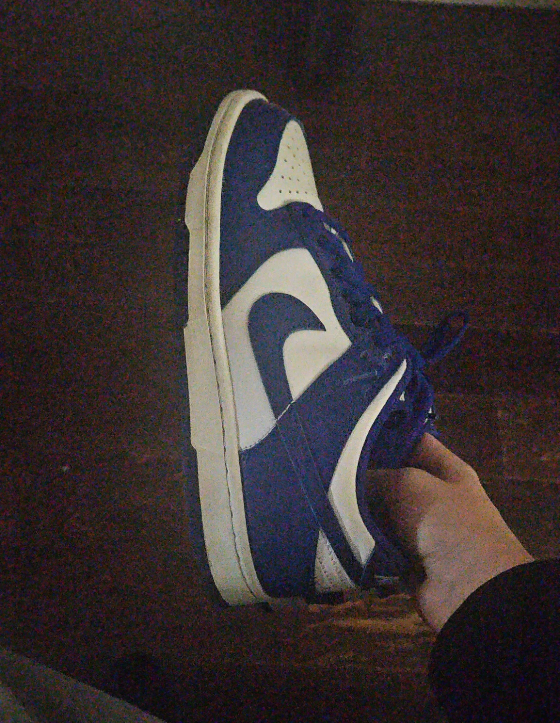 Nike Dunk Low Royal Blue Sneakers