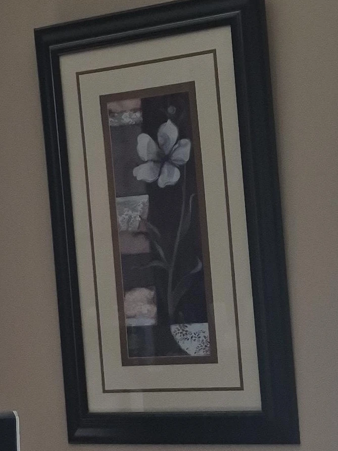 Framed Floral Art Print