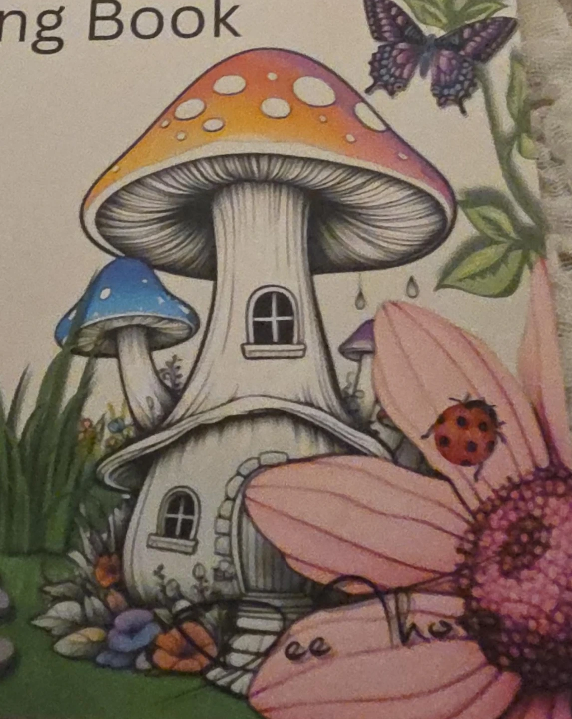 Fairy House Mushroom Coloring Book