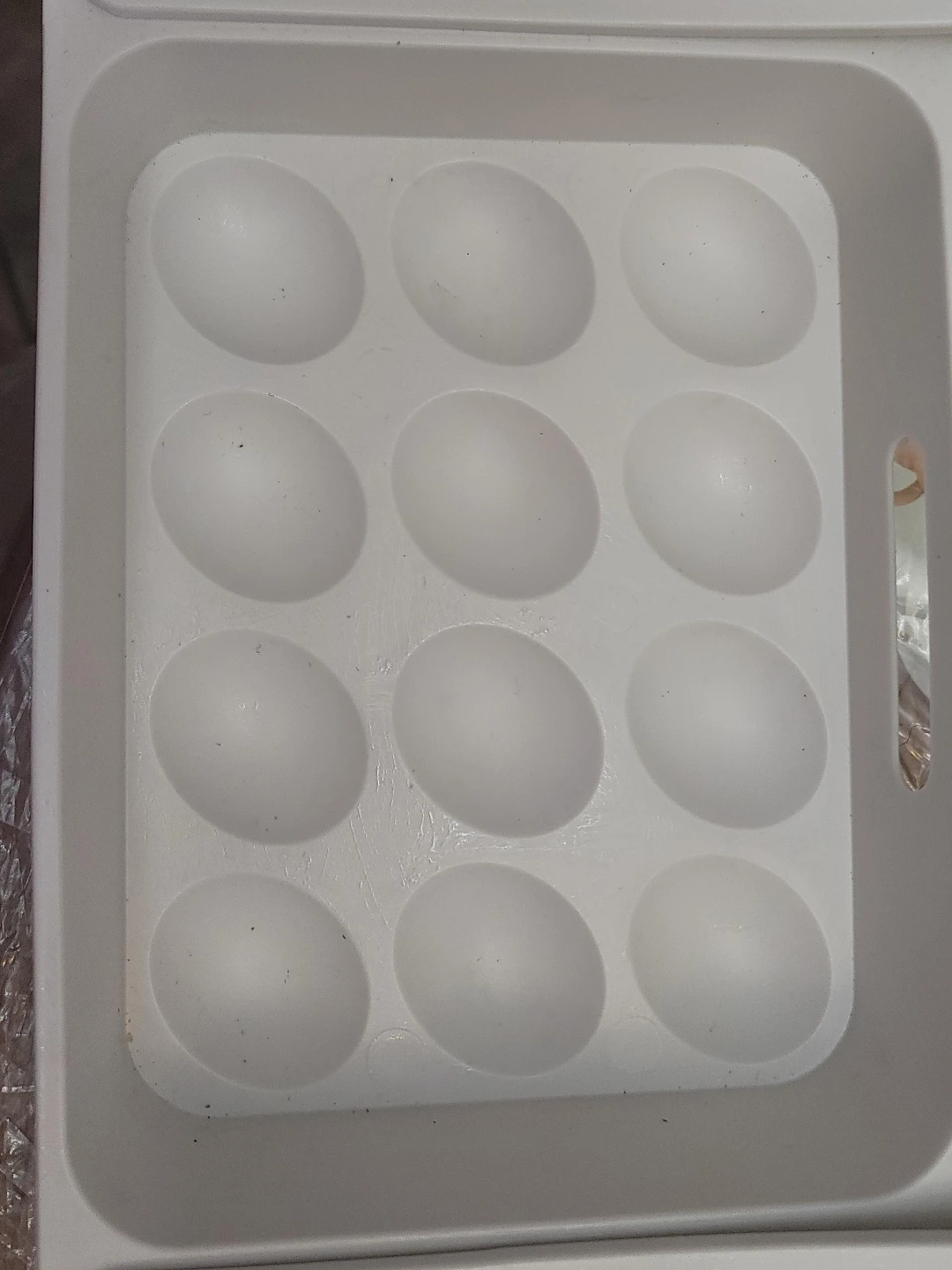 White 12 Egg Holder Tray
