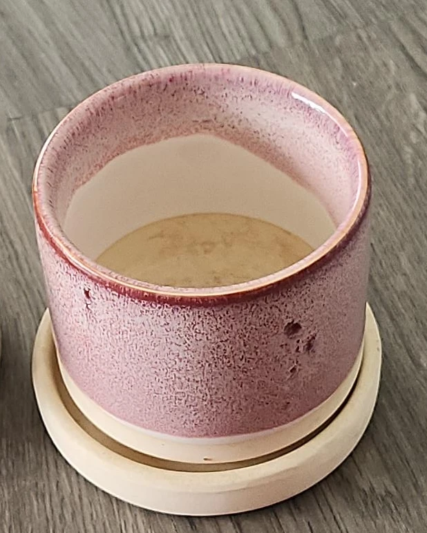 Set of 4 Ceramic Pots with Saucers