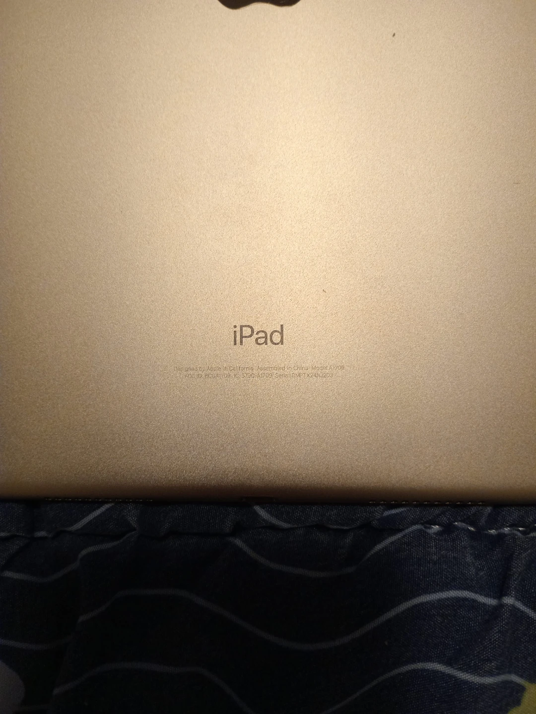 Apple iPad