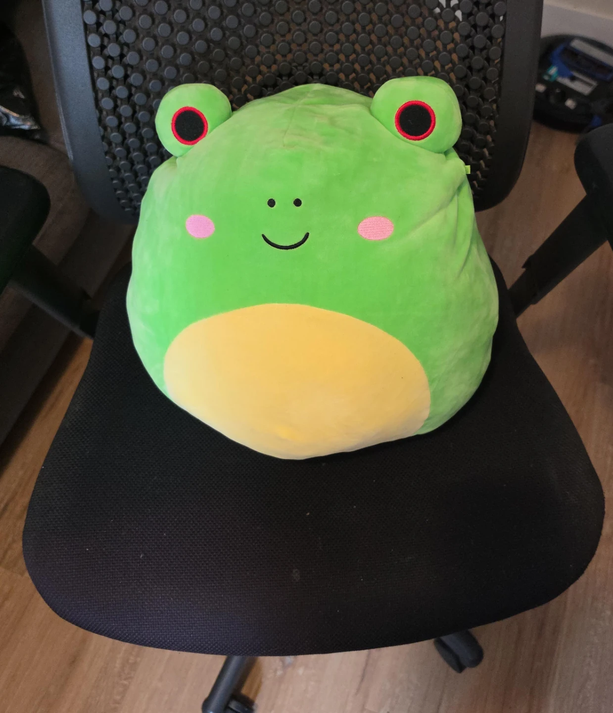 Green Frog Plush Toy