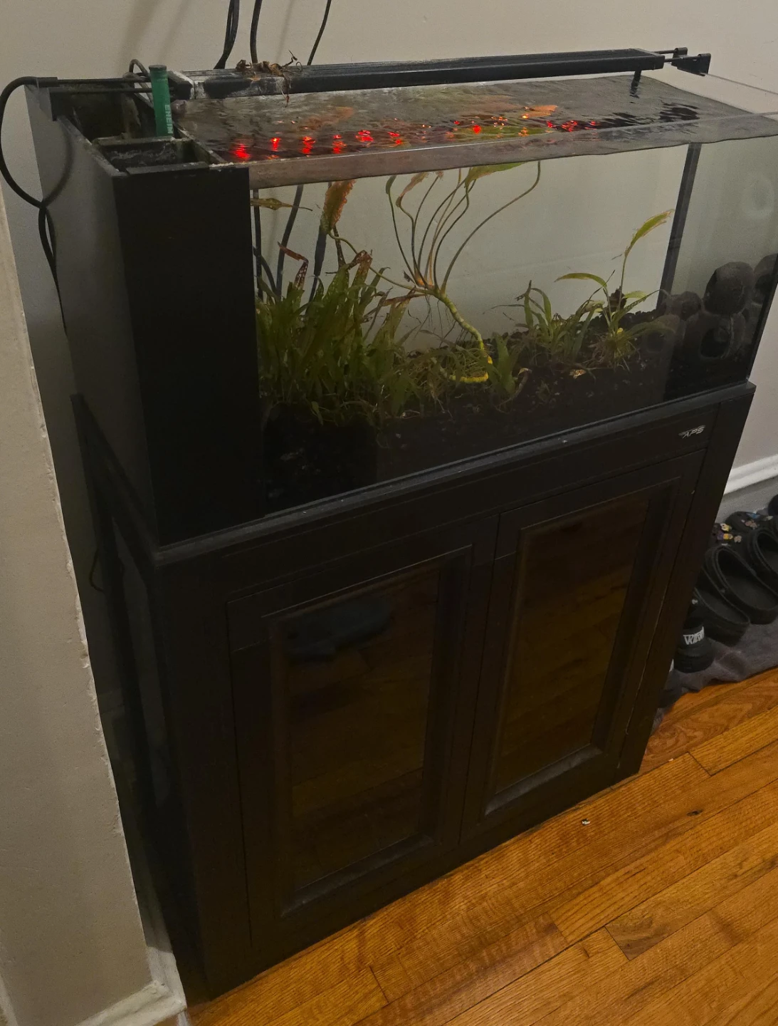 All-Glass Aquarium with Cabinet Stand