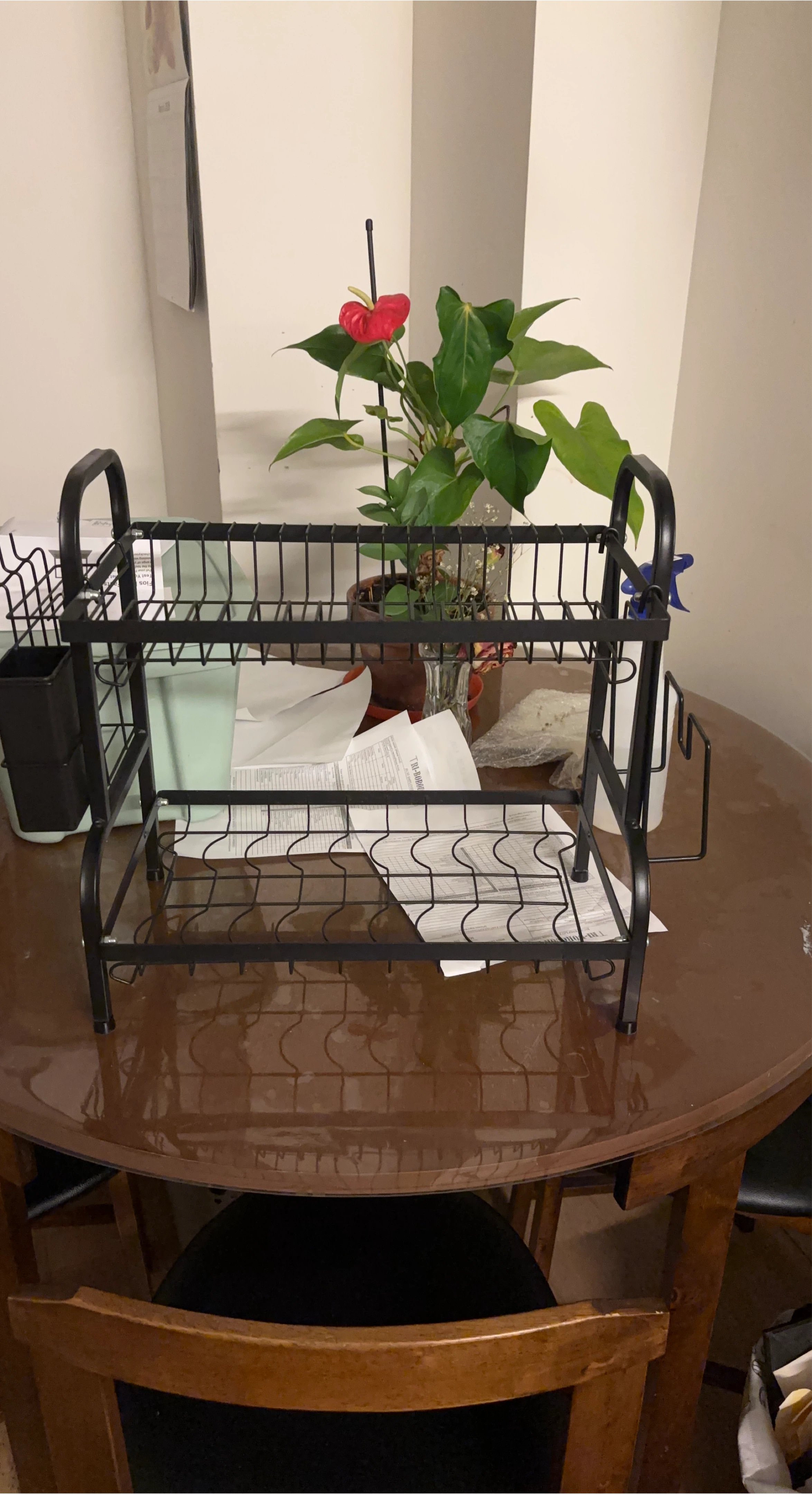 2-Tier Metal Dish Drying Rack