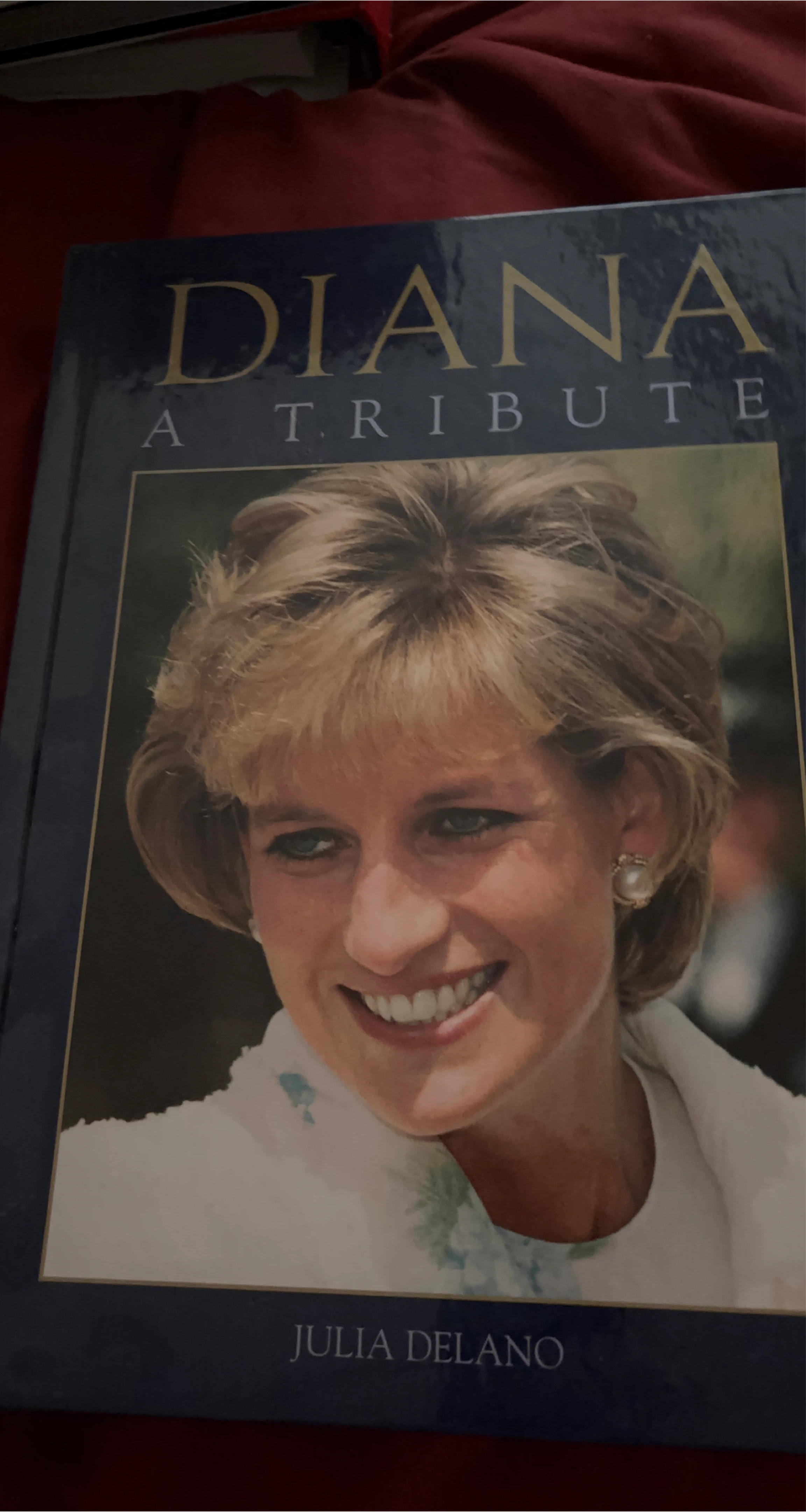Diana A Tribute Book by Julia Delano