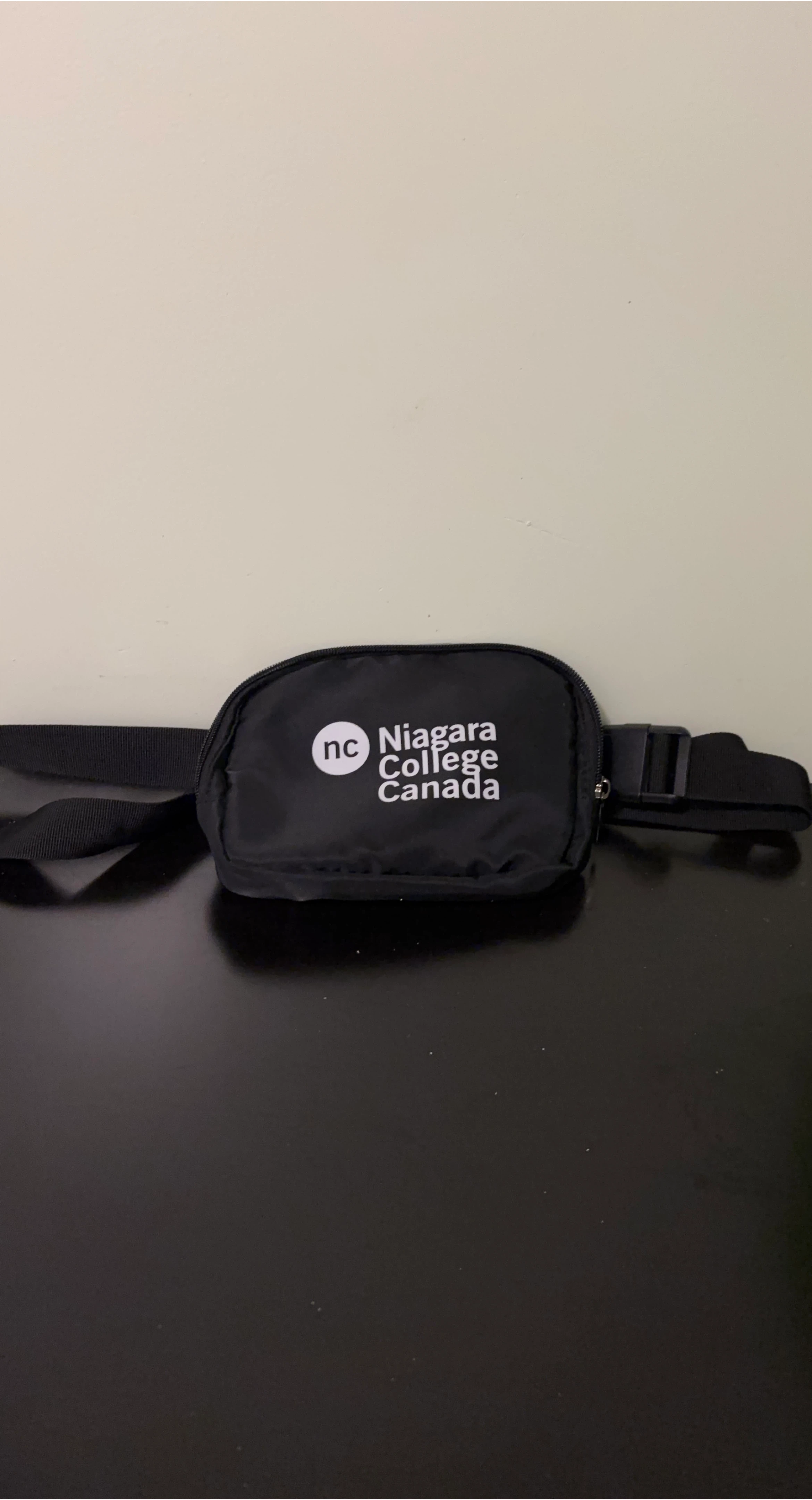 Niagara College Canada Fanny Pack / Belt Bag