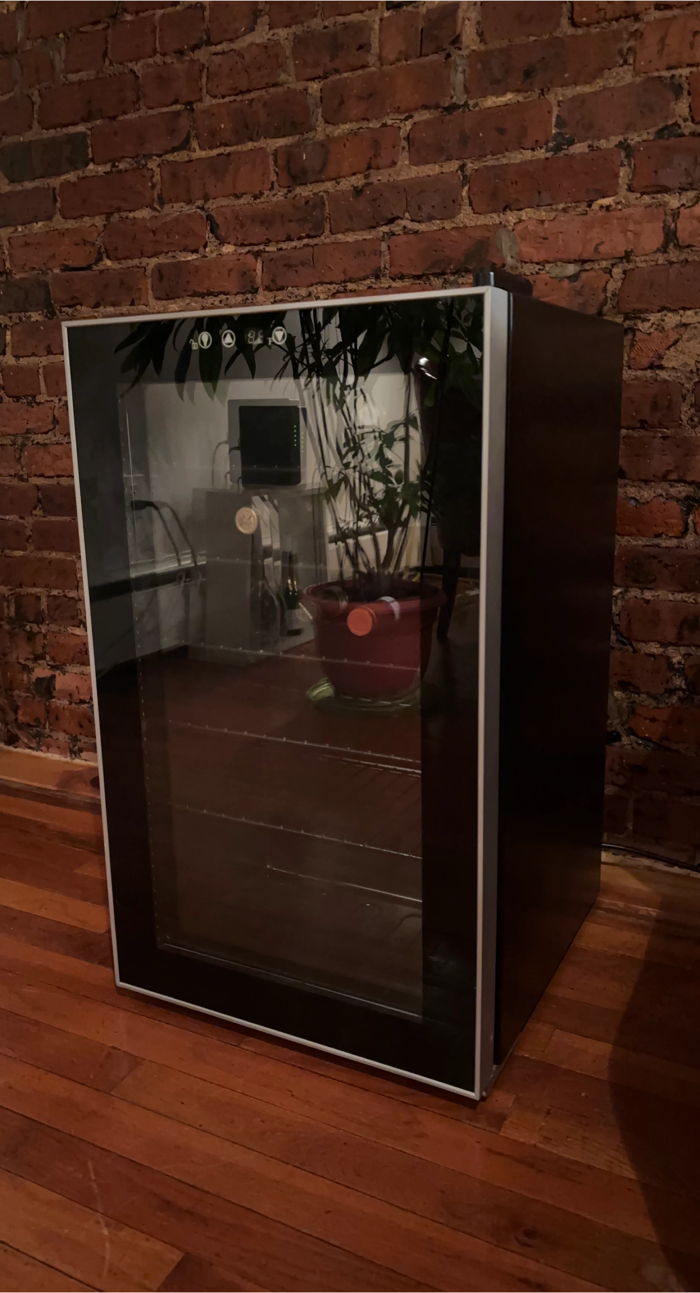 Compact Wine Cooler Refrigerator