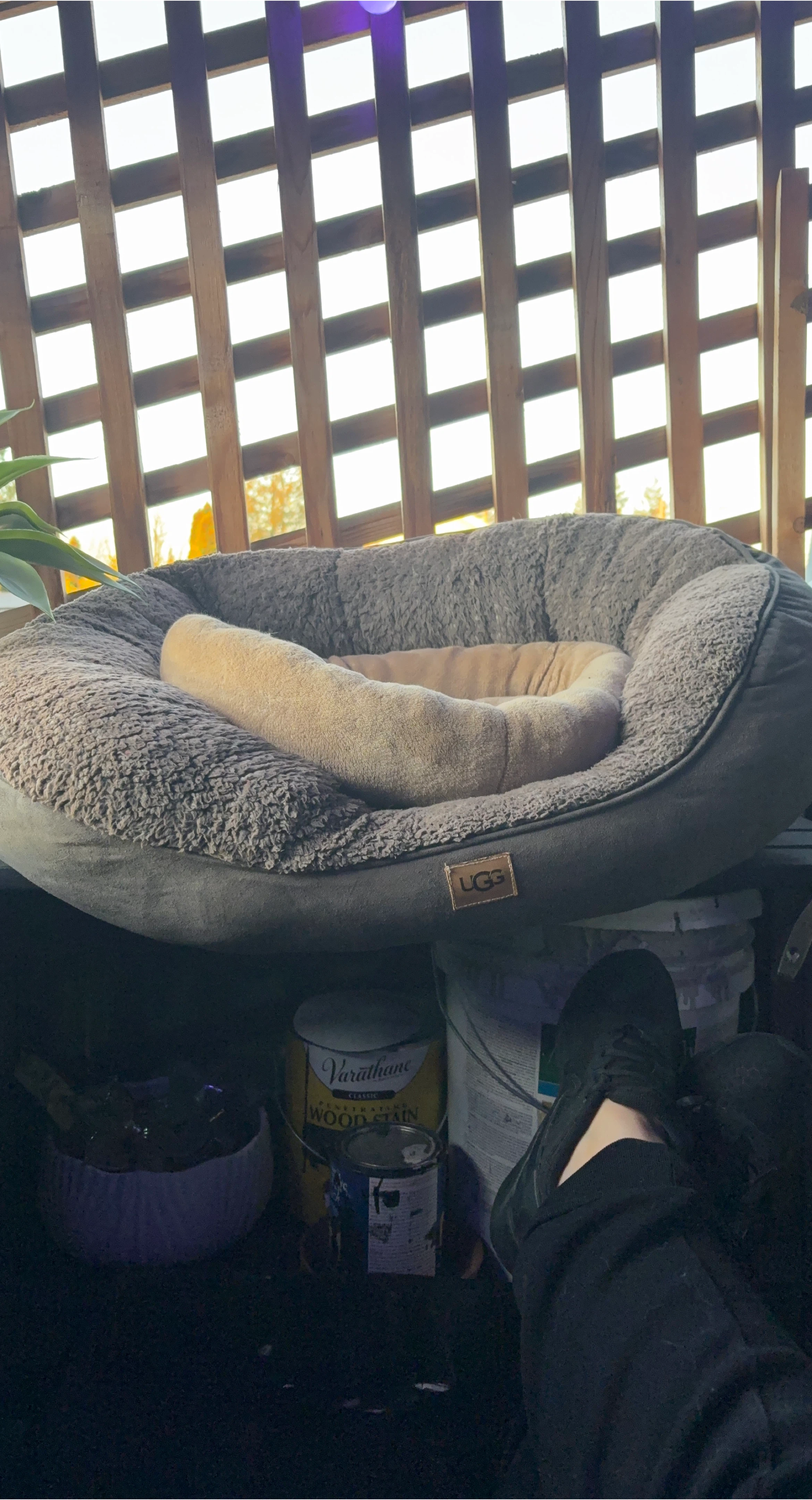 UGG Pet Bed - photo 2