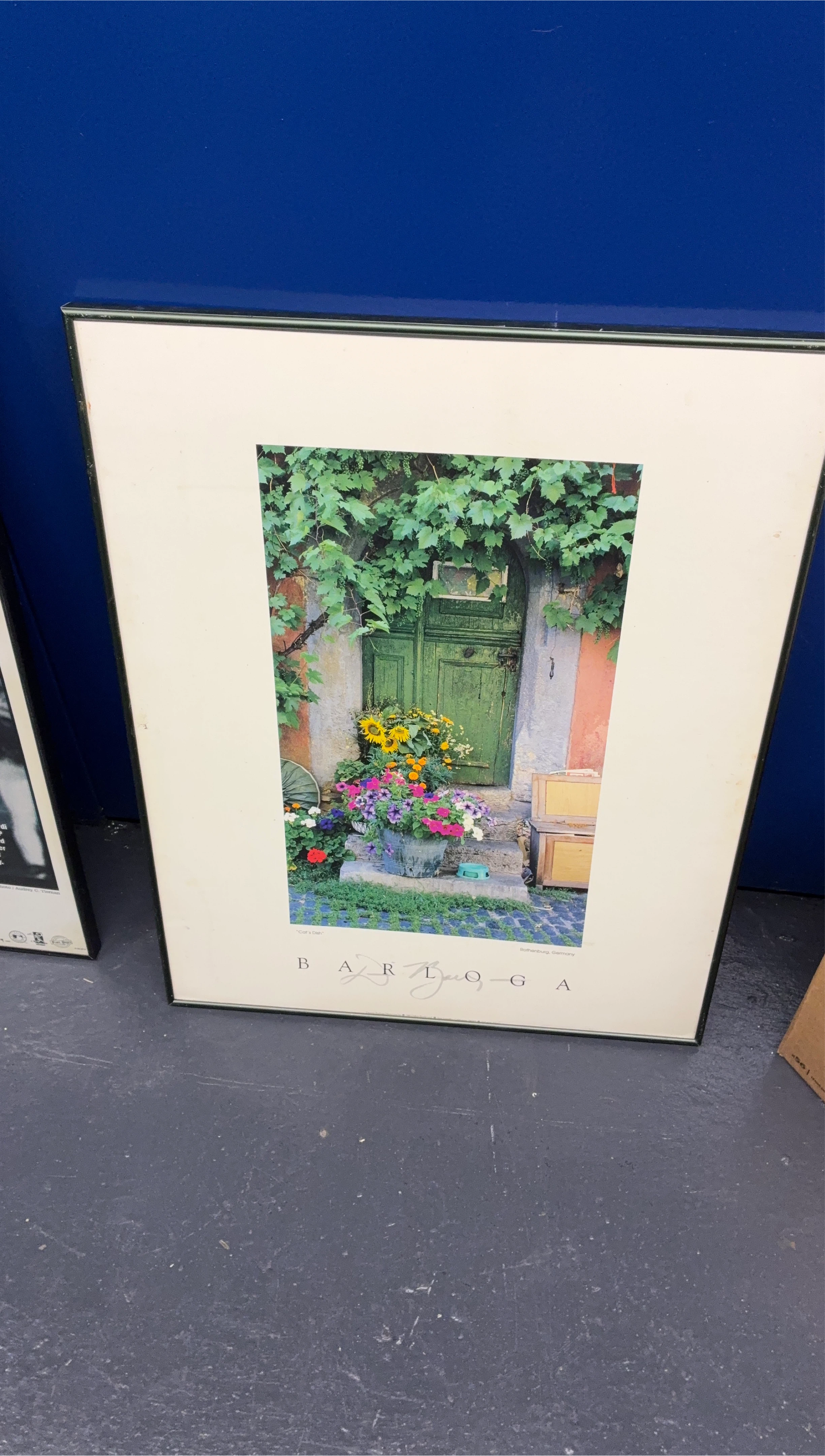 Framed Print of "Cat's Dish" - Rothenburg, Germany