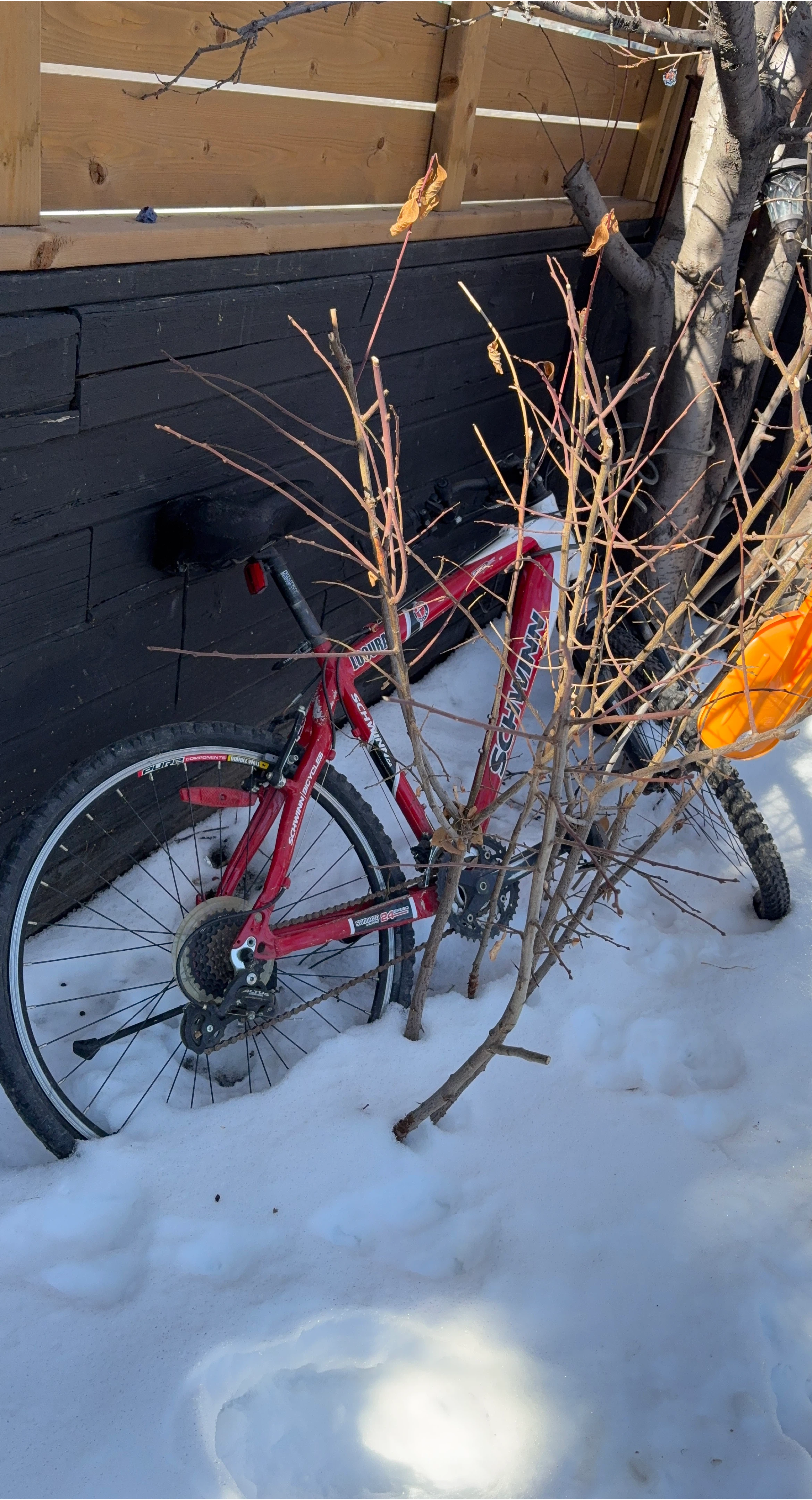 Schwinn Mountain Bike