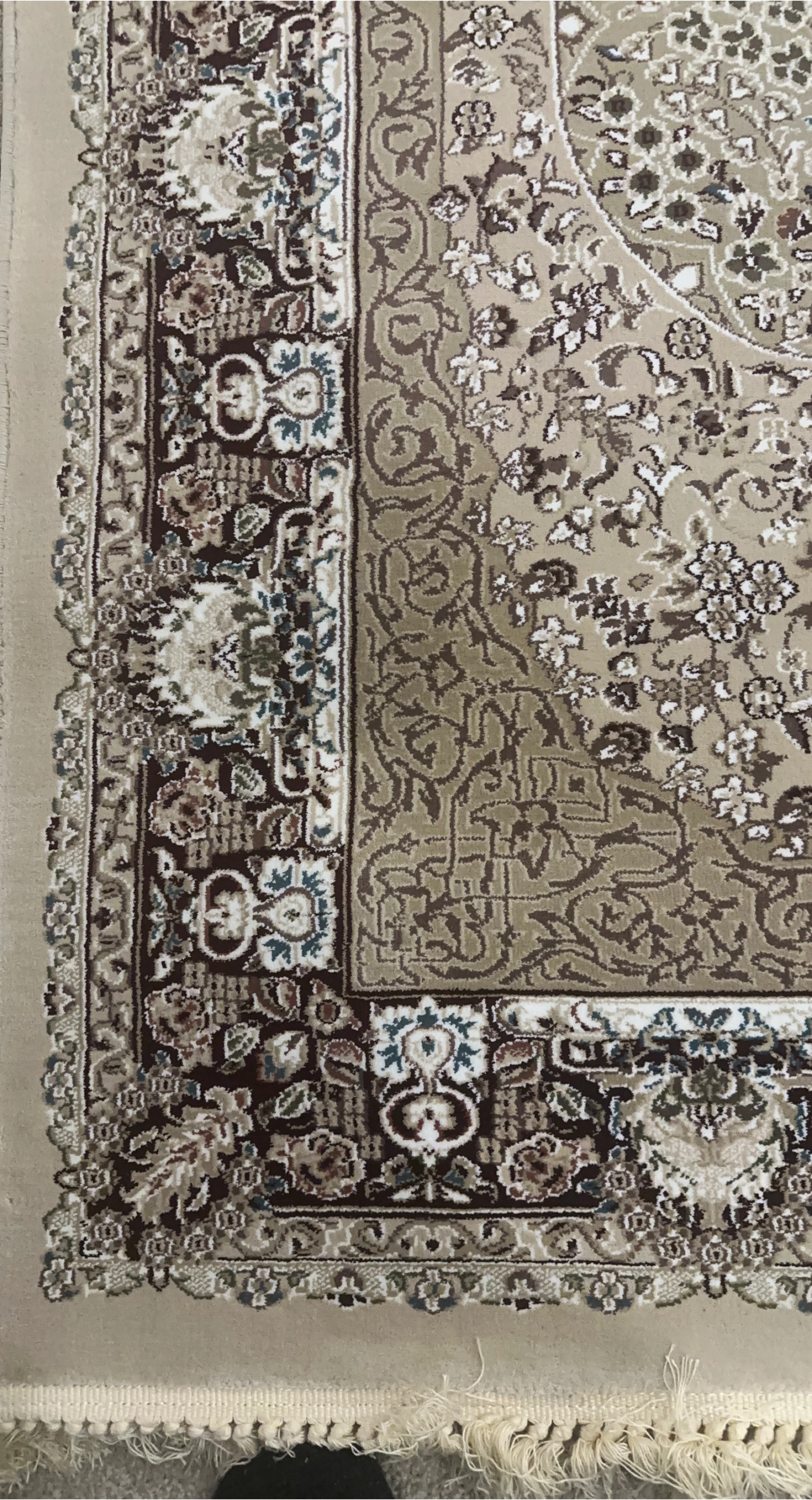 Traditional Oriental Area Carpet