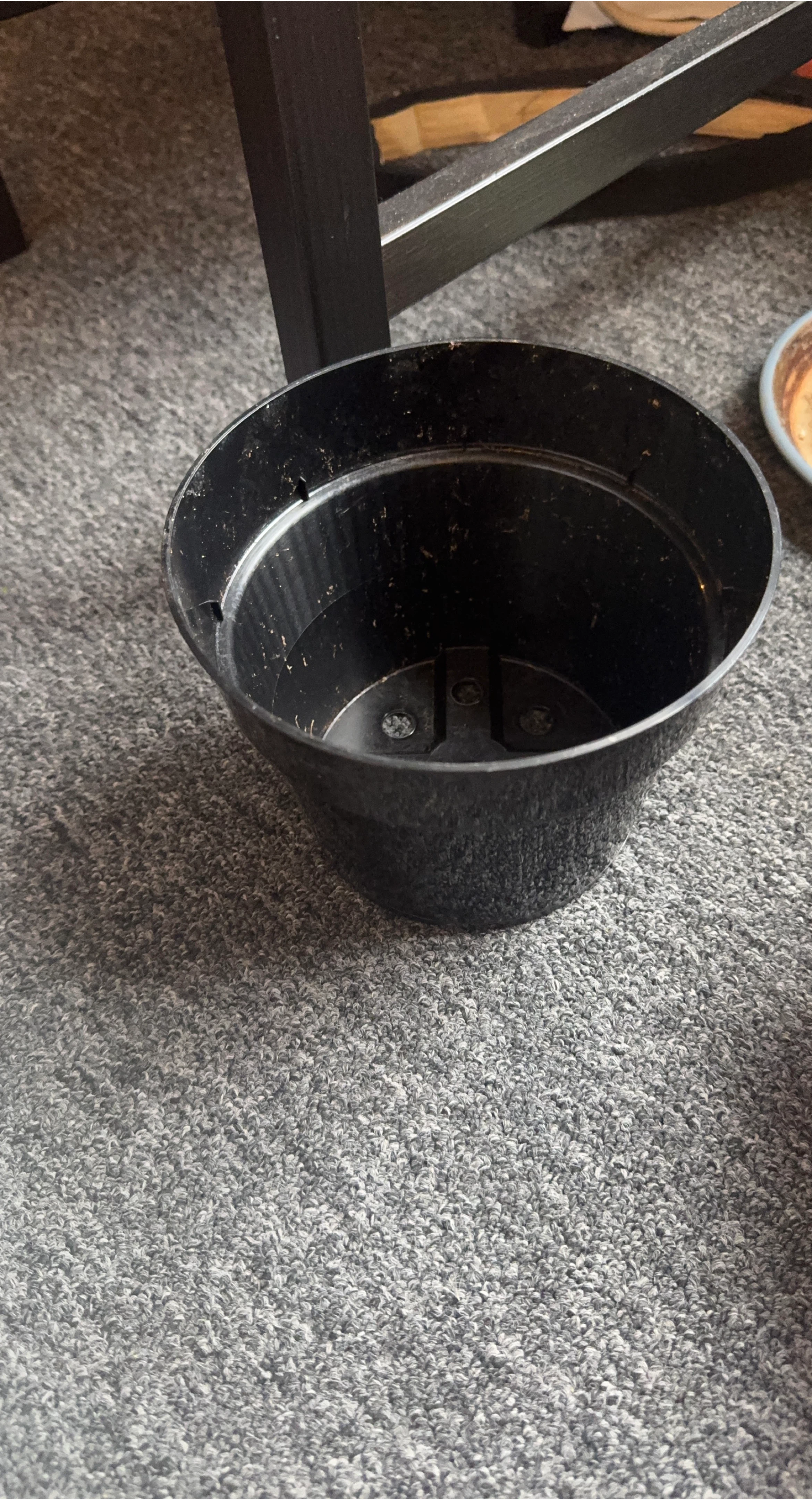 Black Plastic Plant Pot
