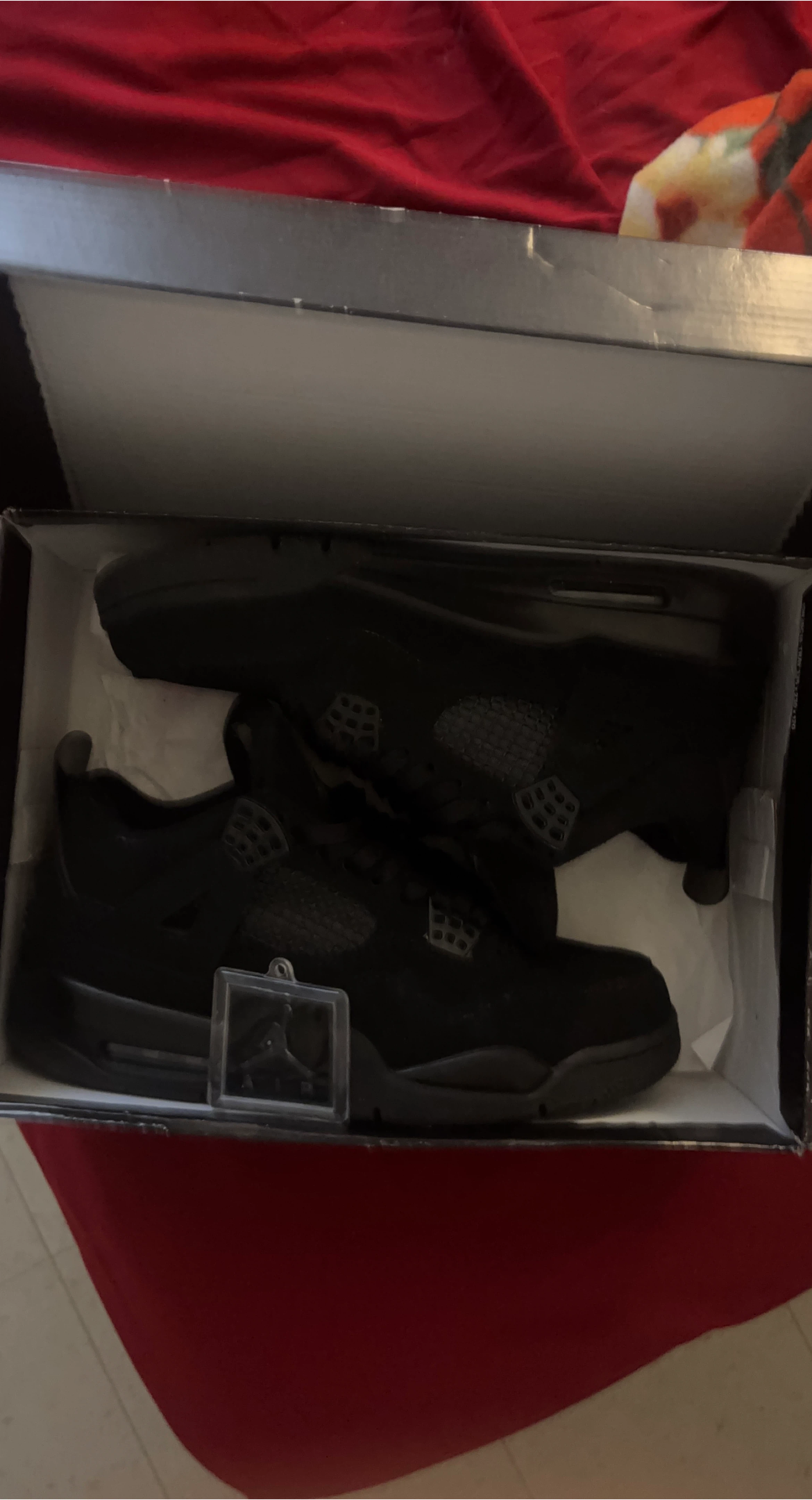Air Jordan 4 Black Cat