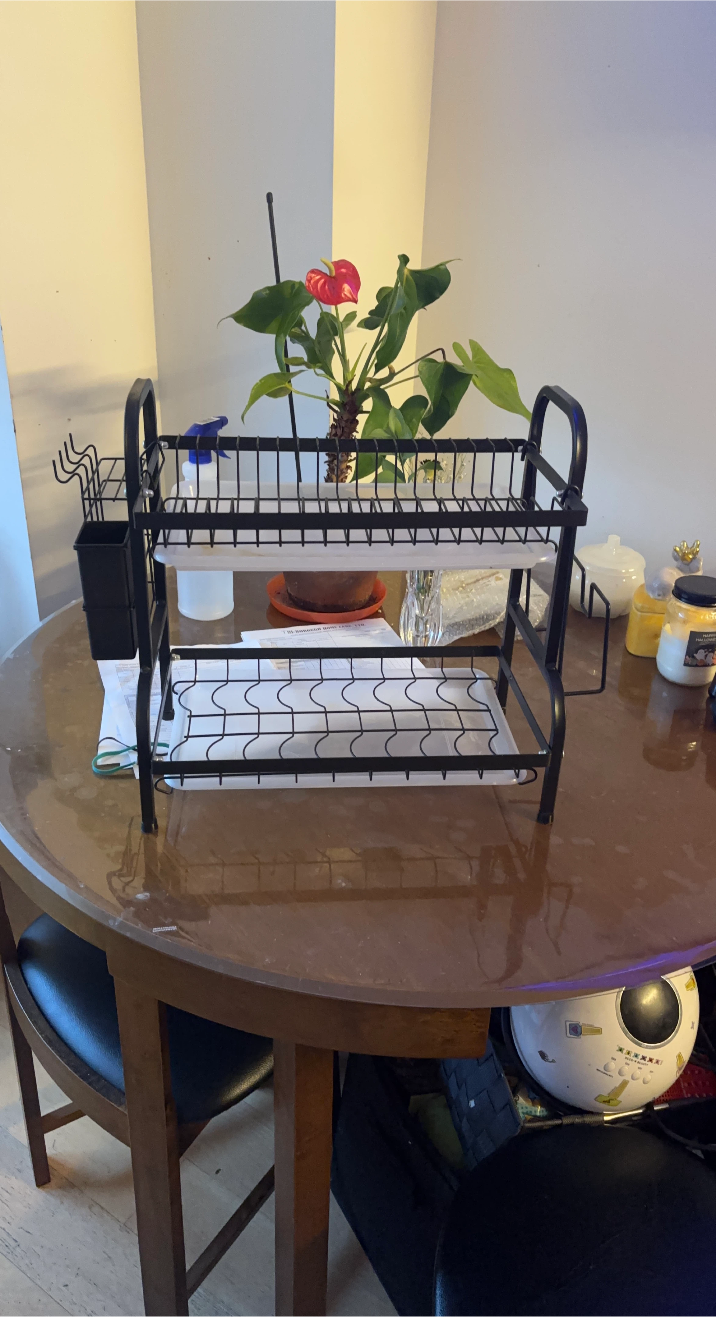 2-Tier Black carbon Metal Dish Rack with Utensil Holder