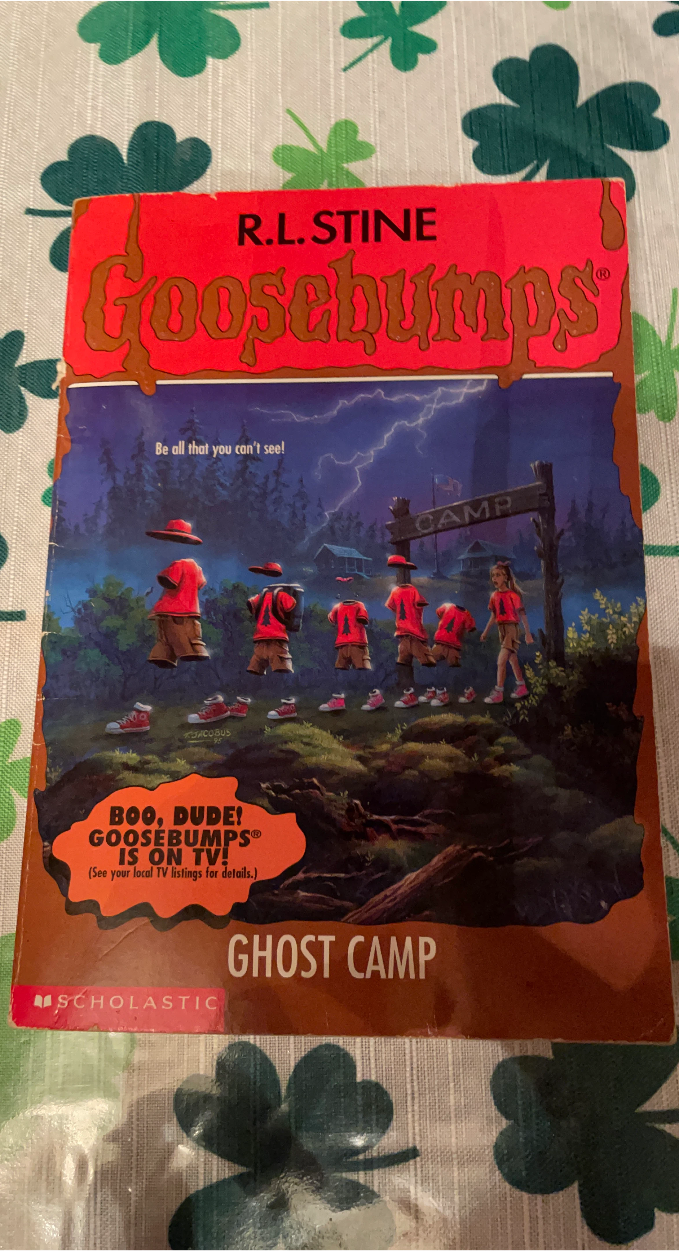 R.L. Stine Goosebumps Ghost Camp Book 🧡