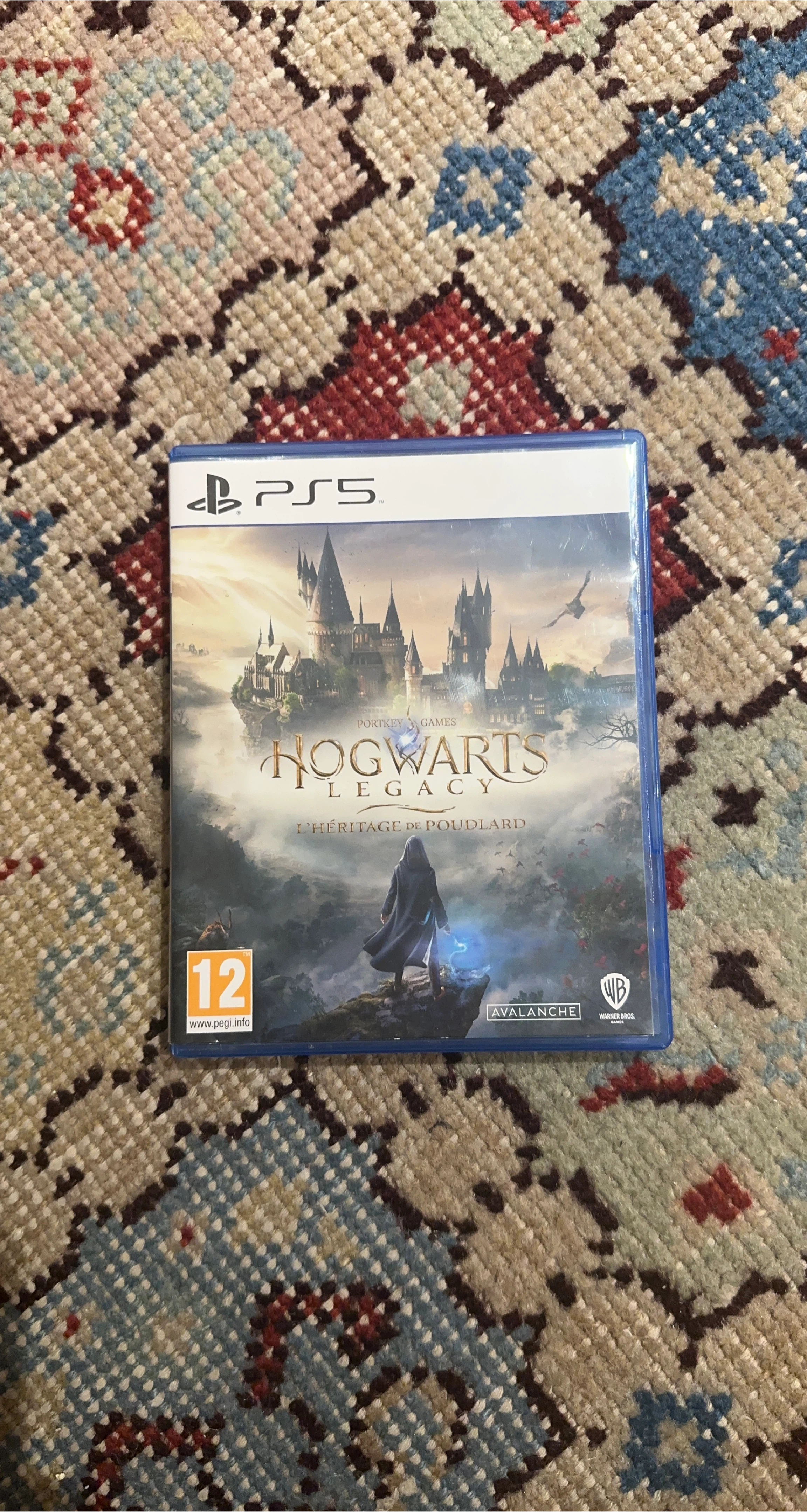 Hogwarts Legacy PS5 Game