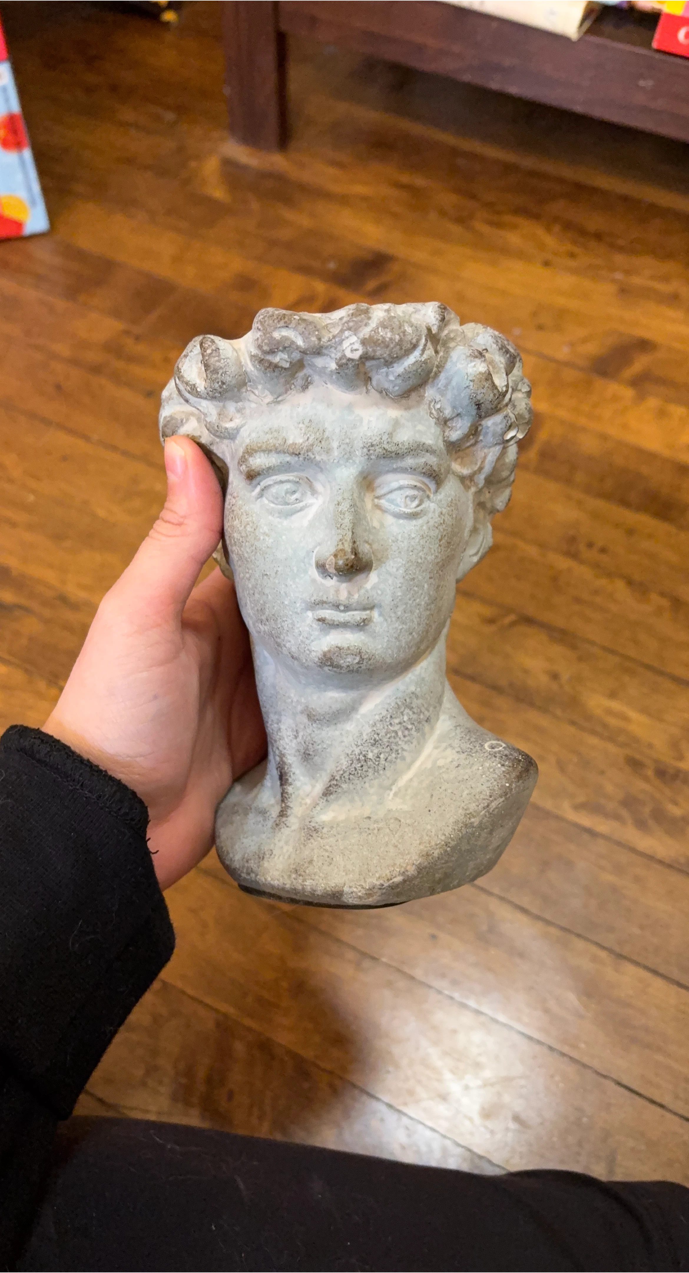 Bust of David Head Figure