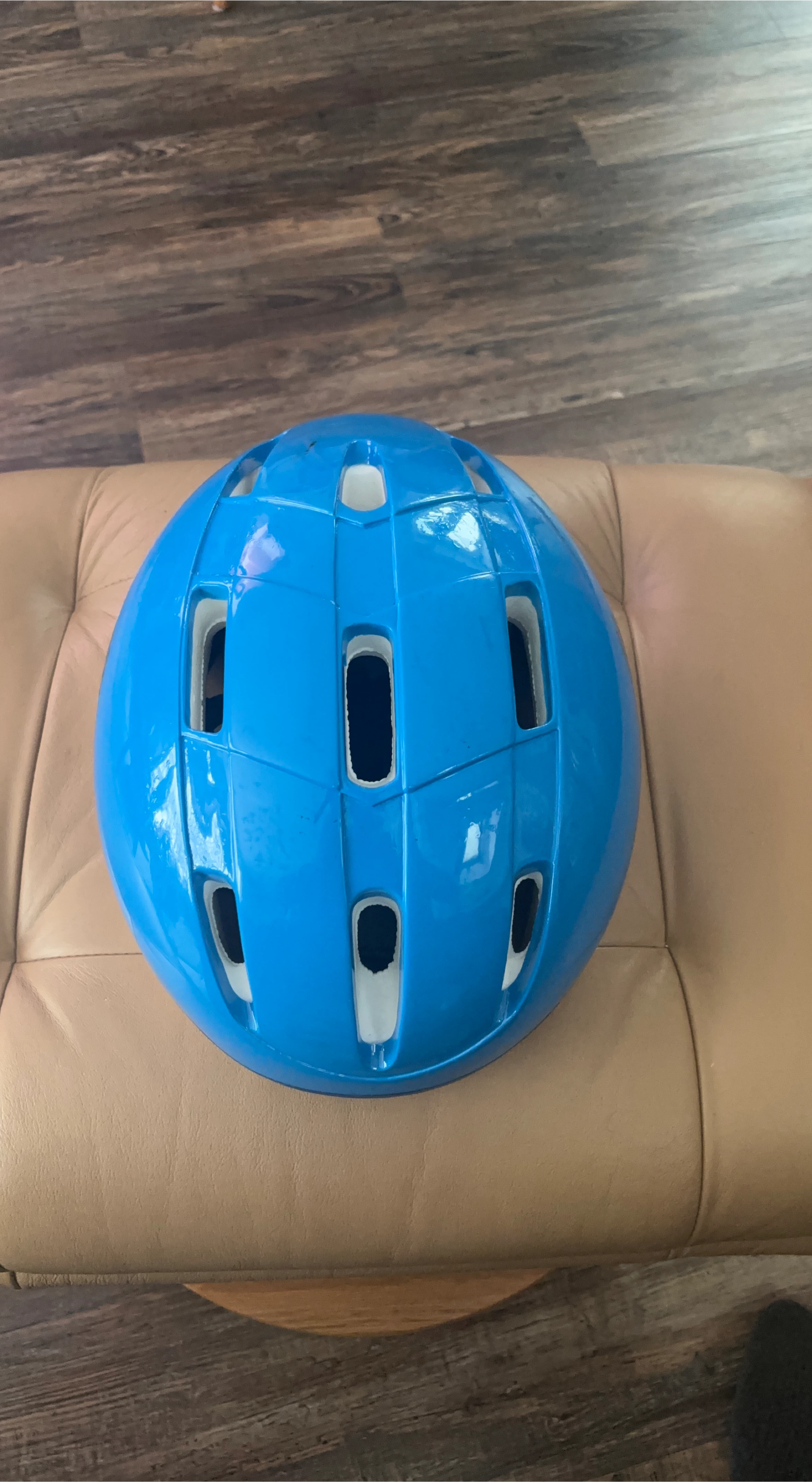 Blue Millenium Cycling Helmet