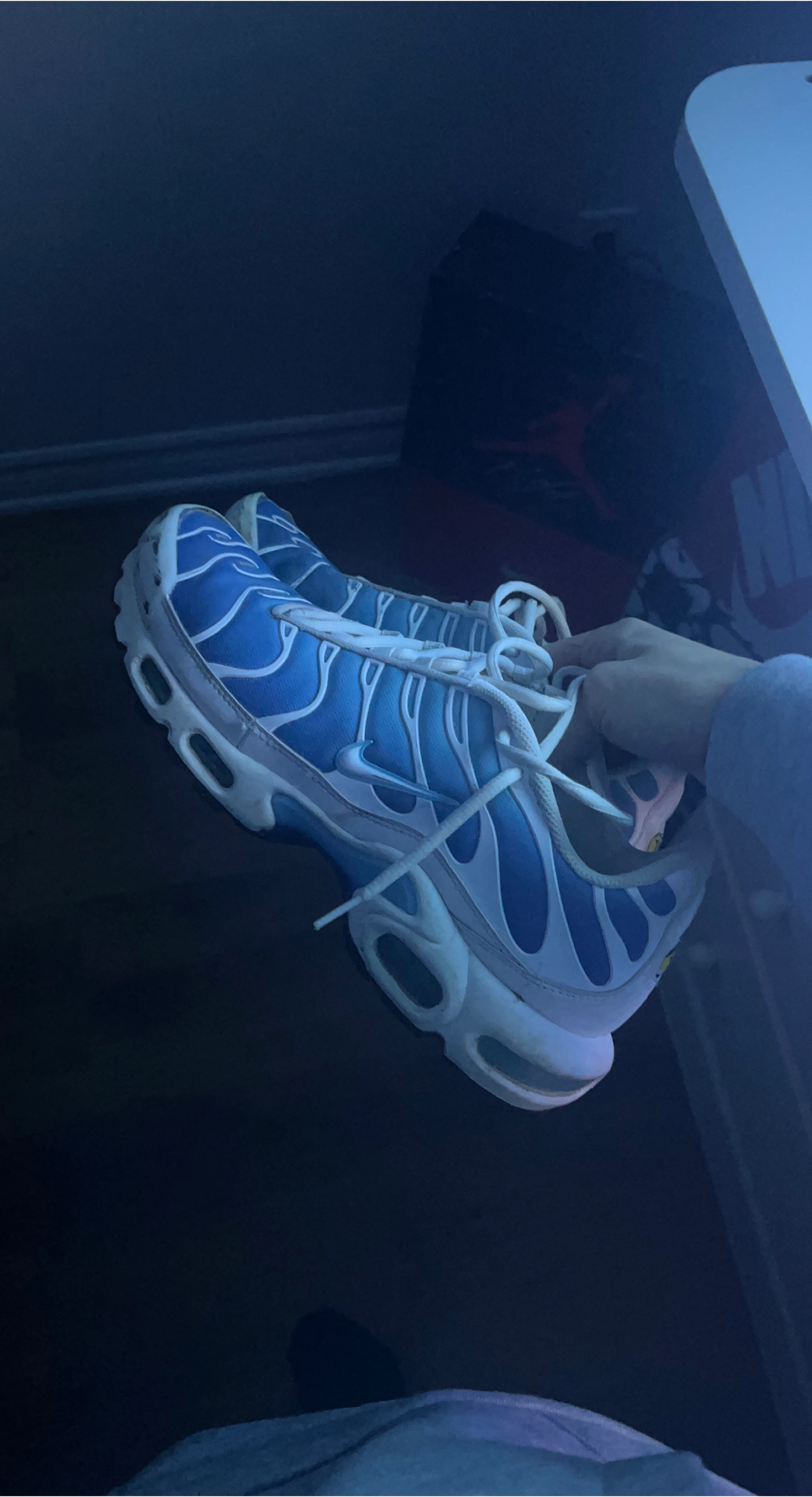 Nike Air Max tnBleues et Blanches