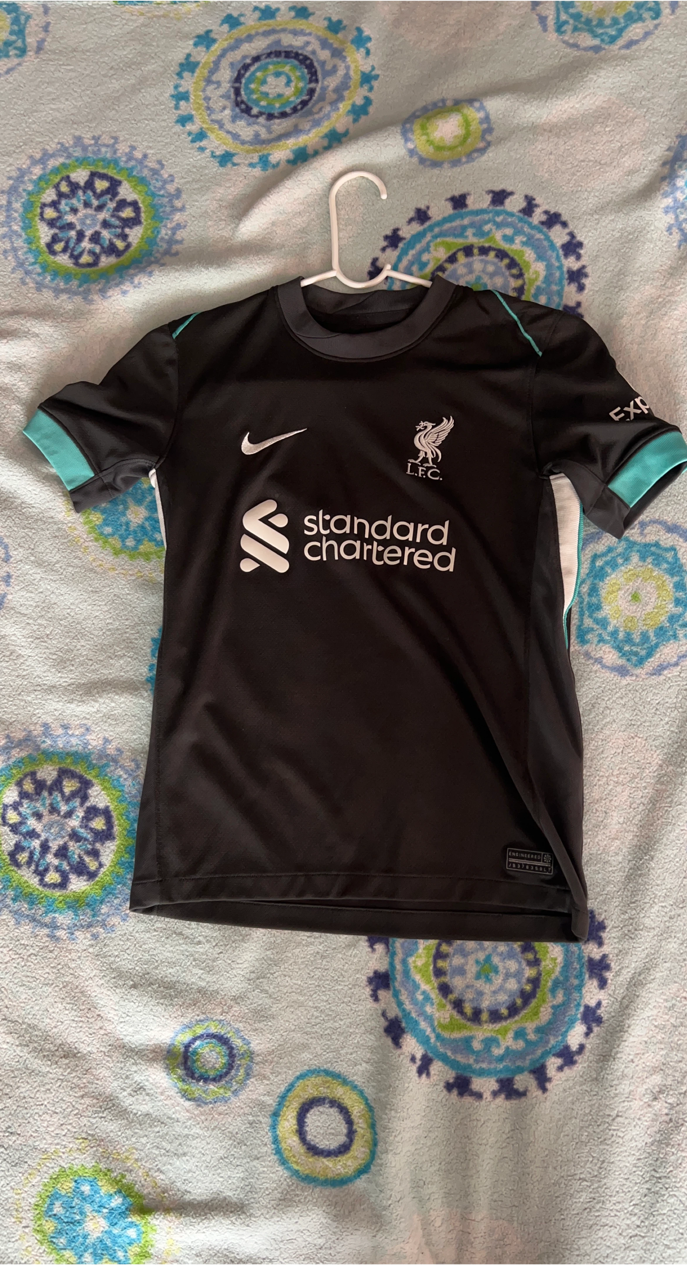 Nike Liverpool FC 24/25 jersey