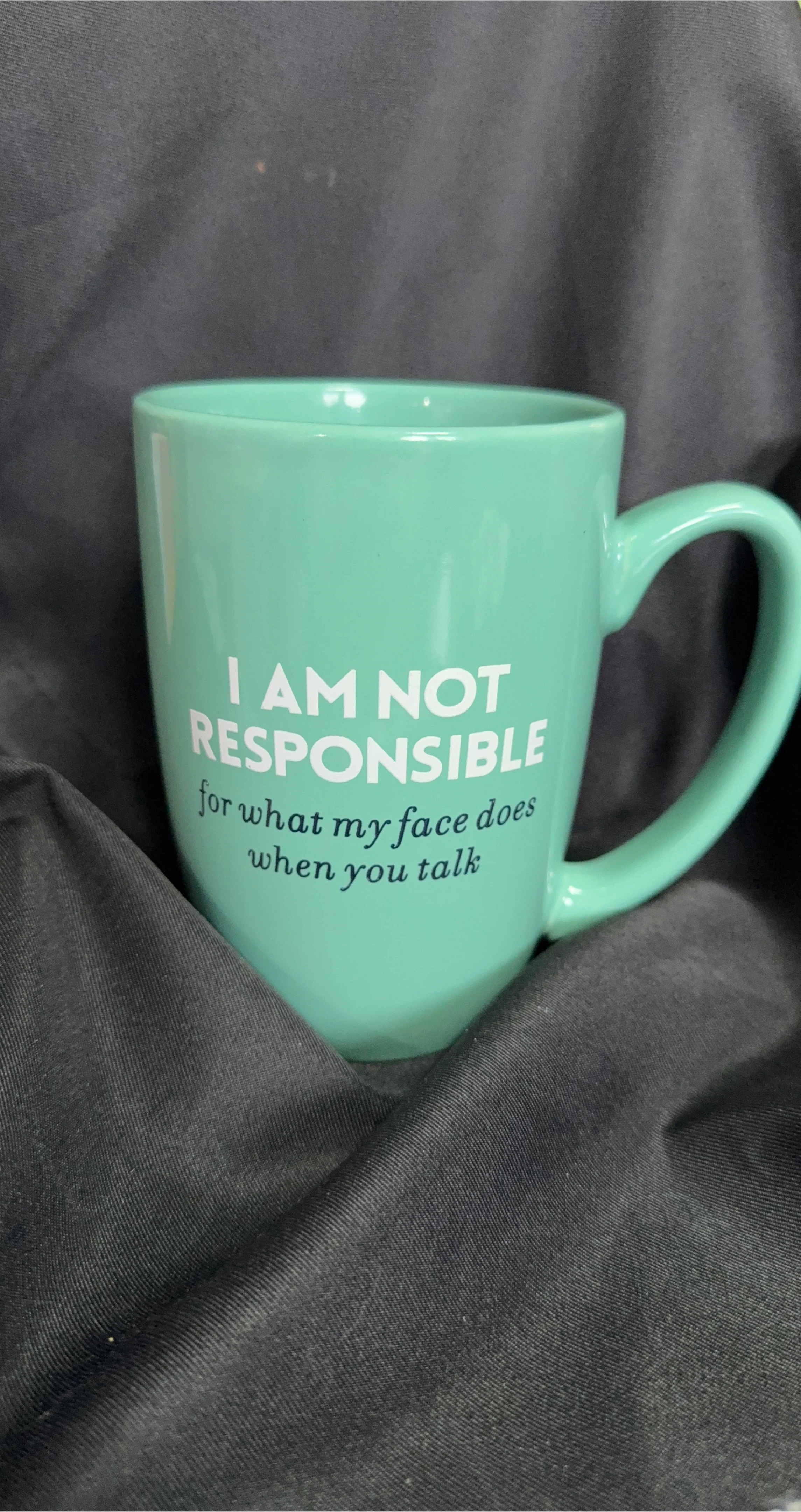 Mint Green "I AM NOT RESPONSIBLE” Mug