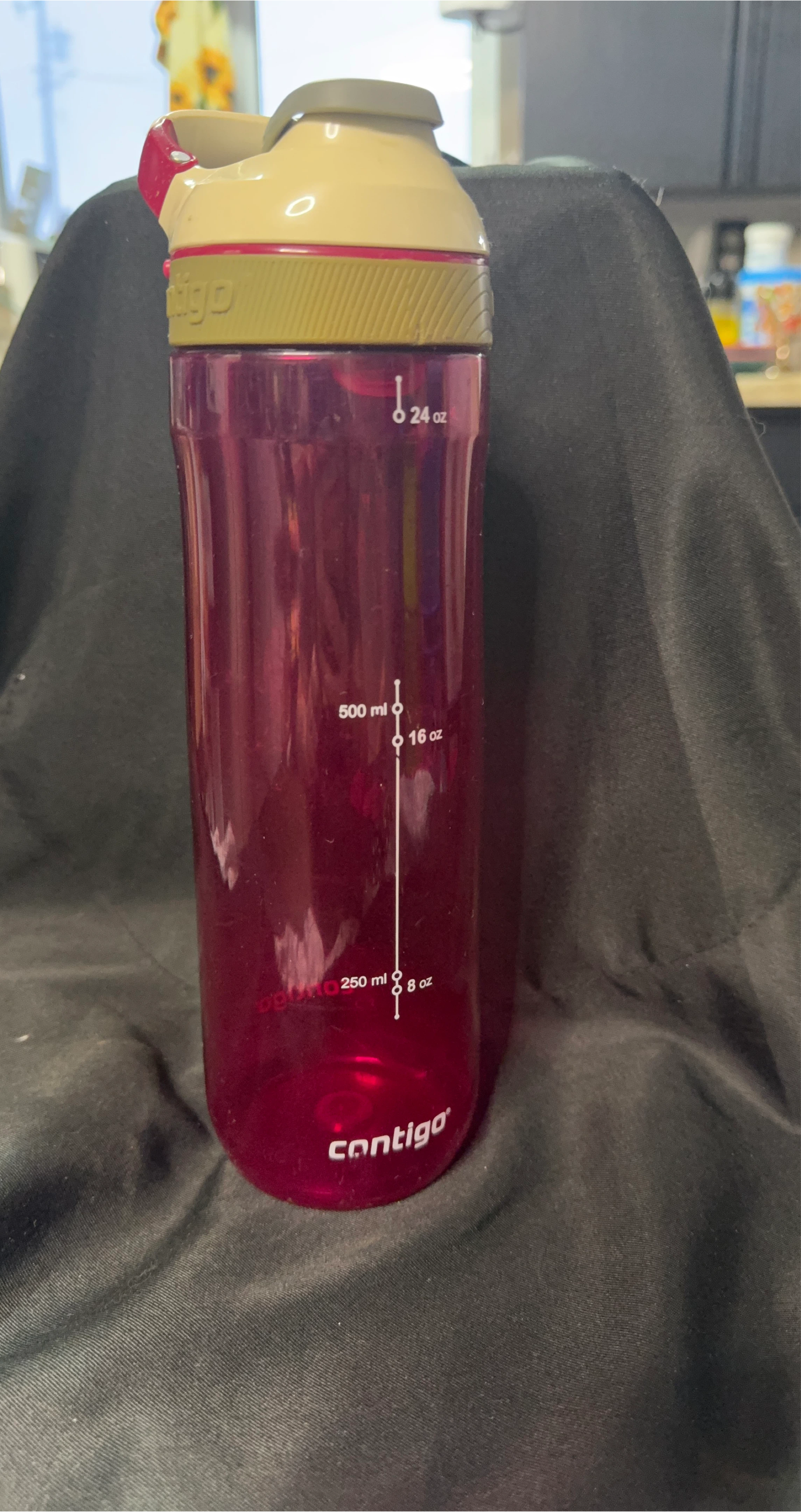 Contigo Water Bottle - Purple 24 oz