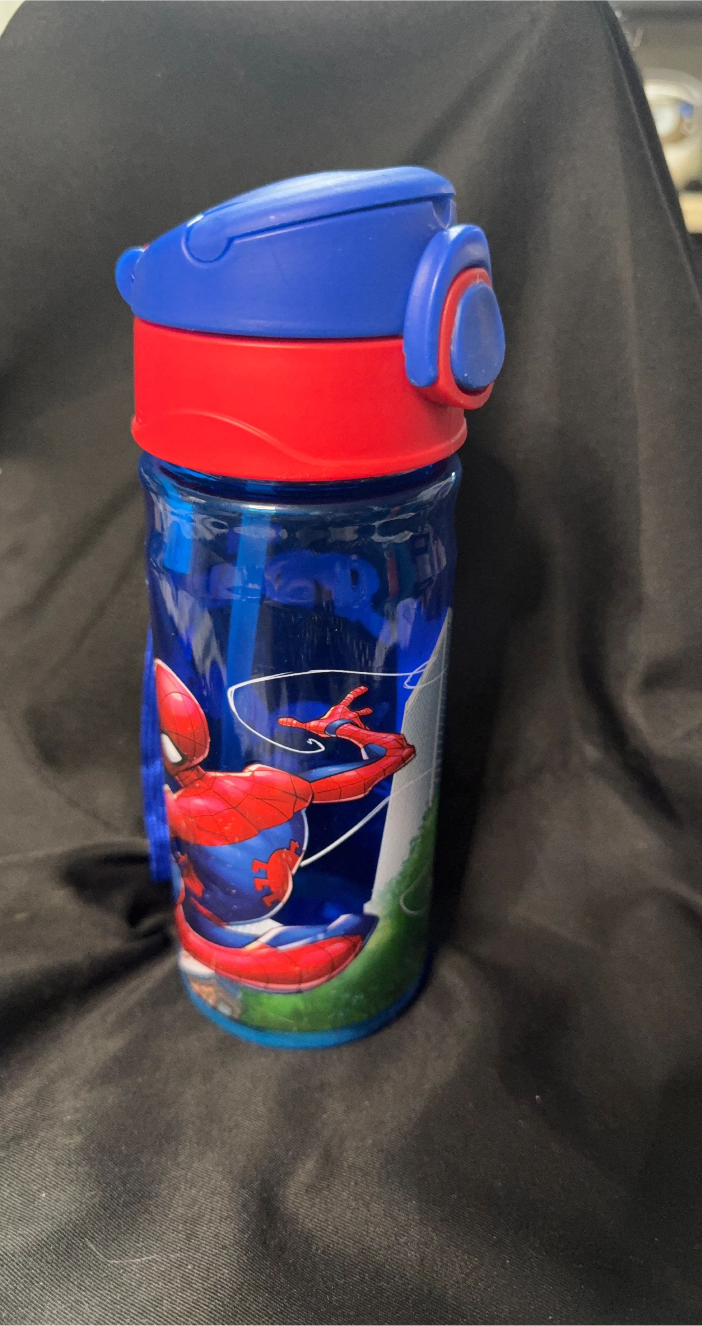 Spider-Man Kids Water Bottle with Straw