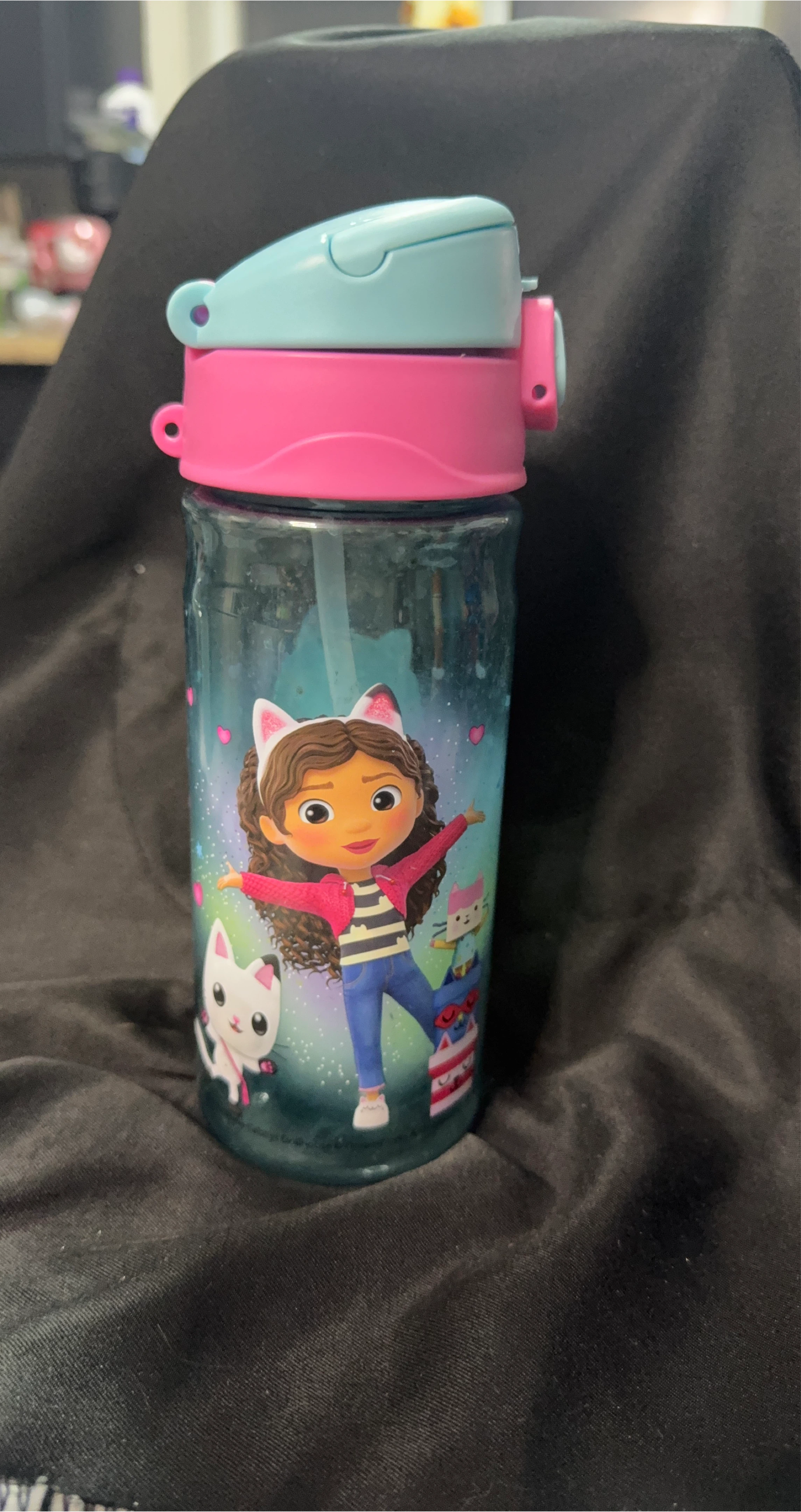 Gabby's Dollhouse Kids Water Bottle with Straw