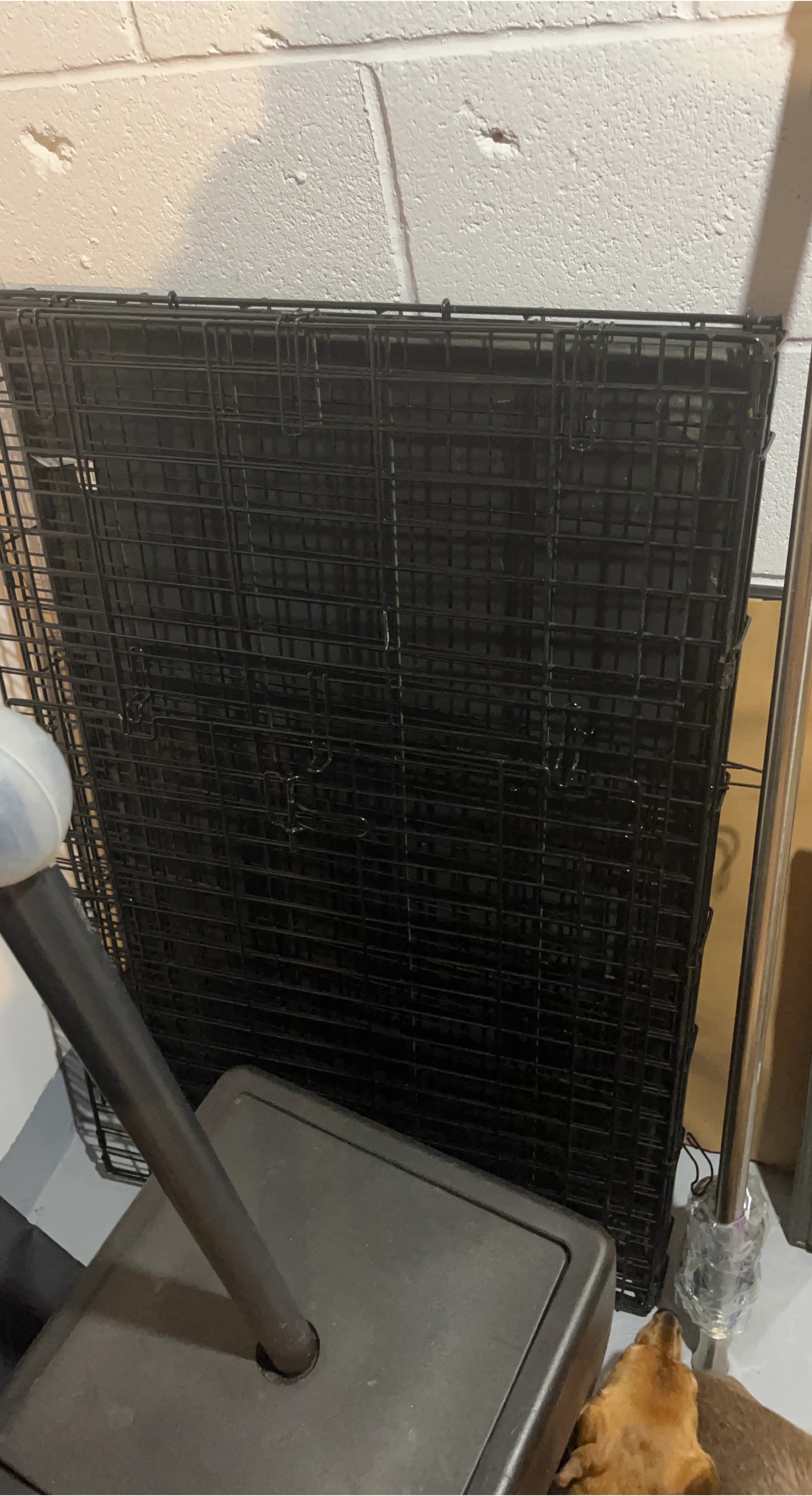 Black Wire Pet Crate