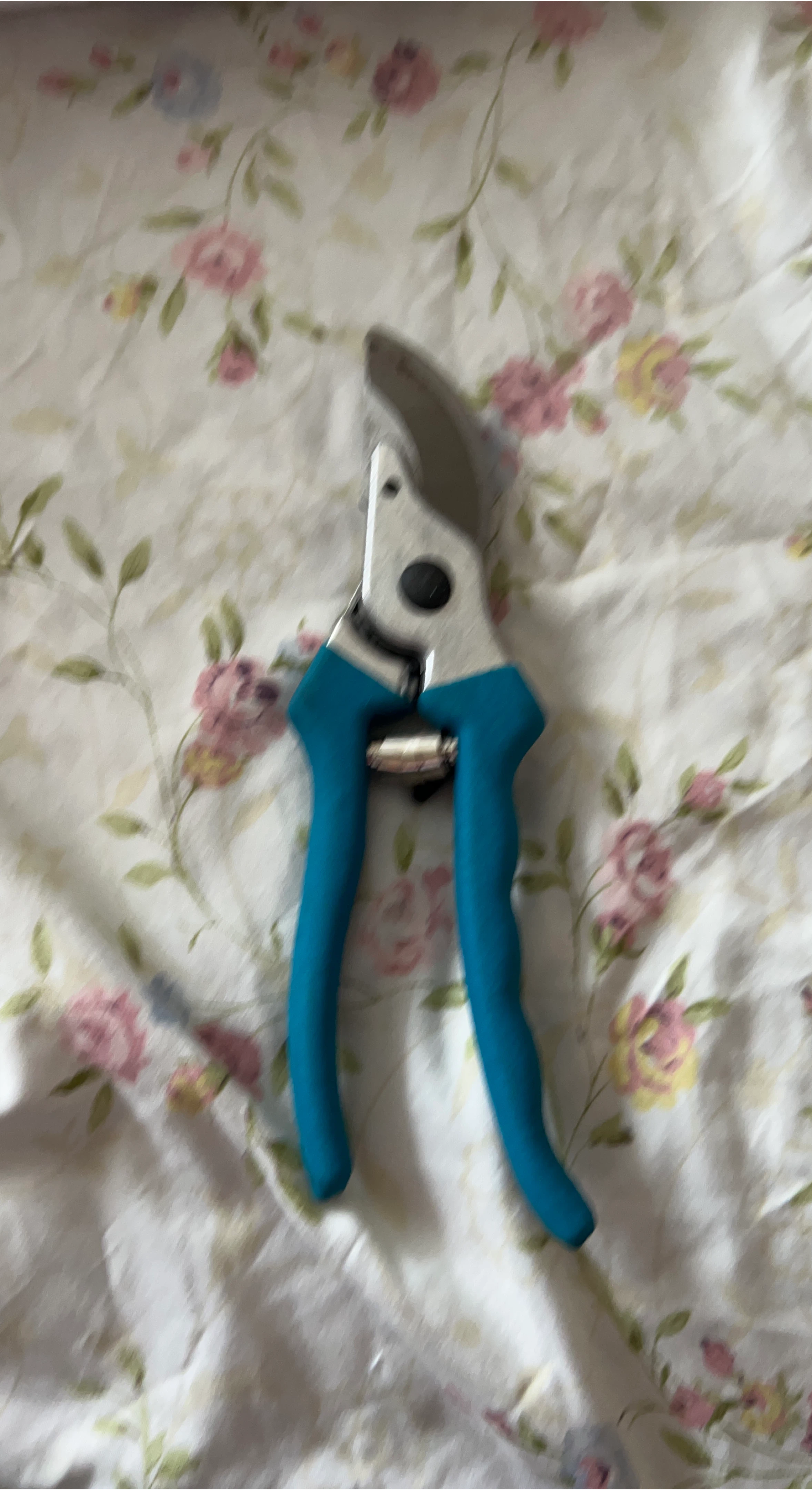 Gardening Hand Pruners