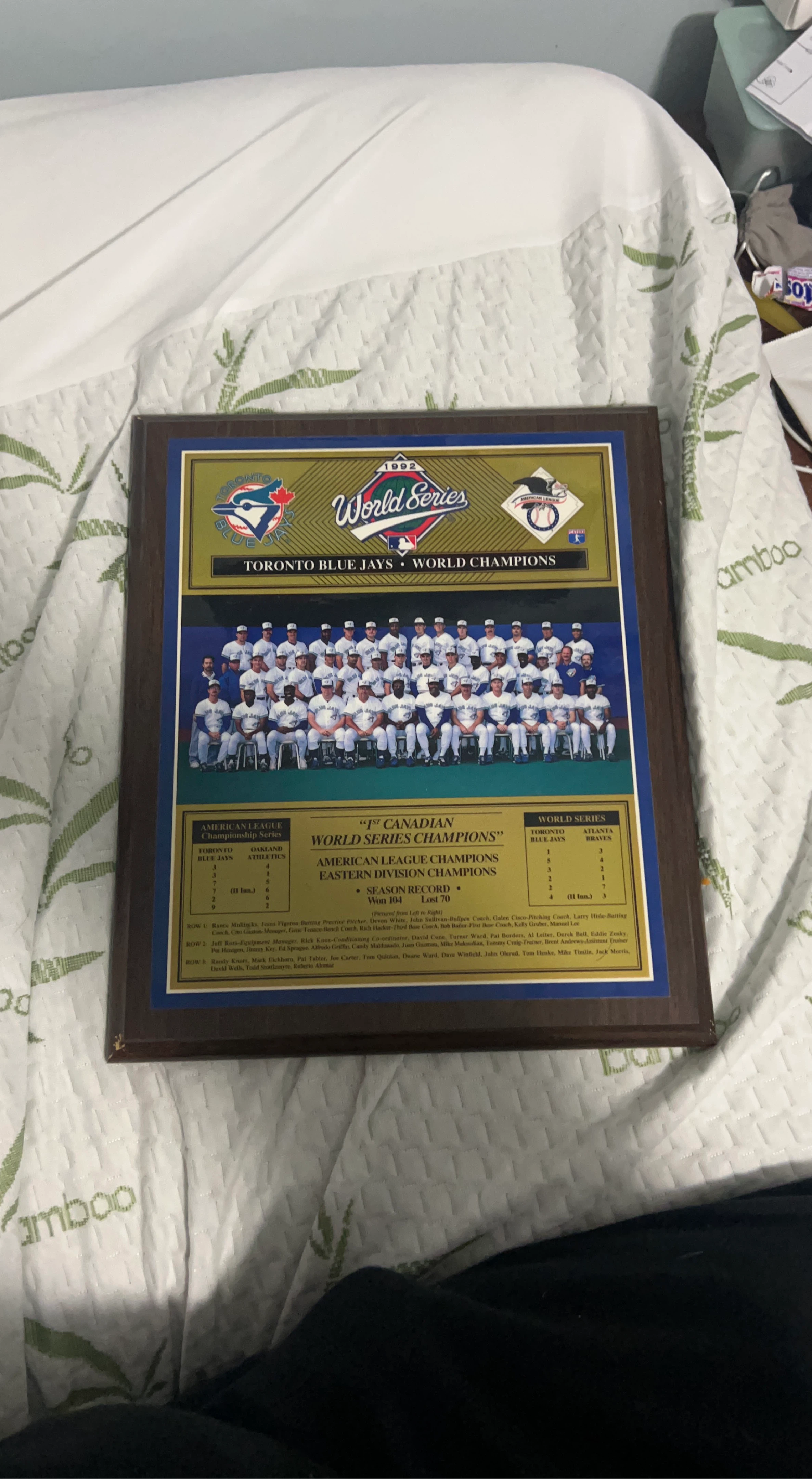 1992 Toronto Blue Jays World Series Champions Plaque