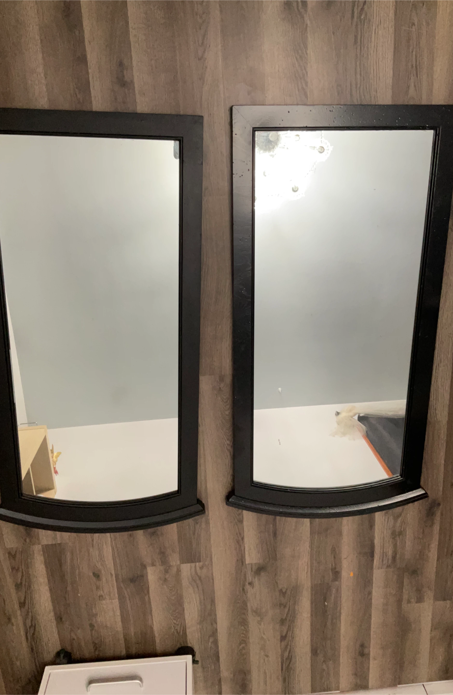 Set of 2 Black Framed Decorative Mirrors