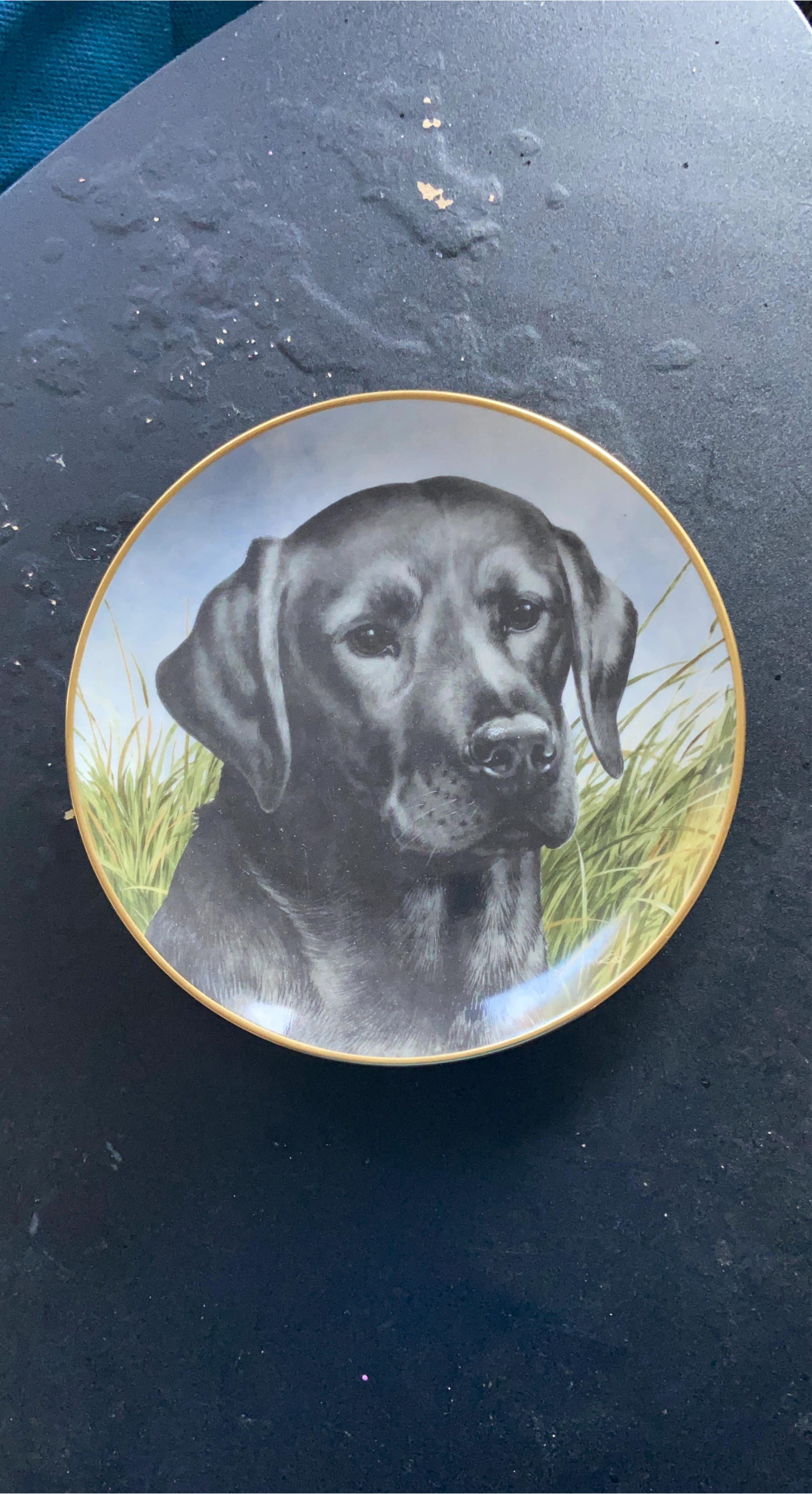 Decorative Plate with Black Labrador Image