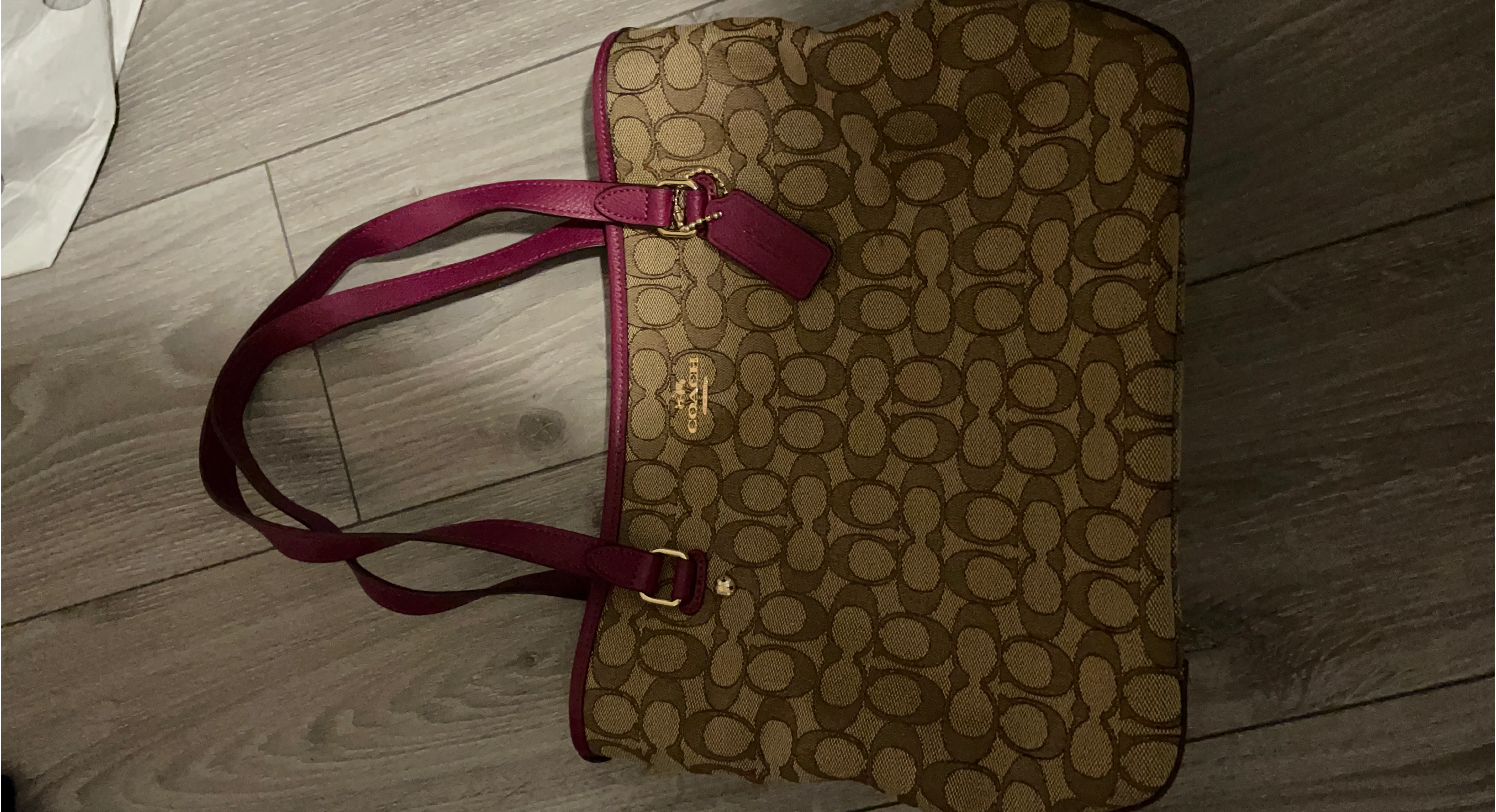 Coach Signature Tote Bag