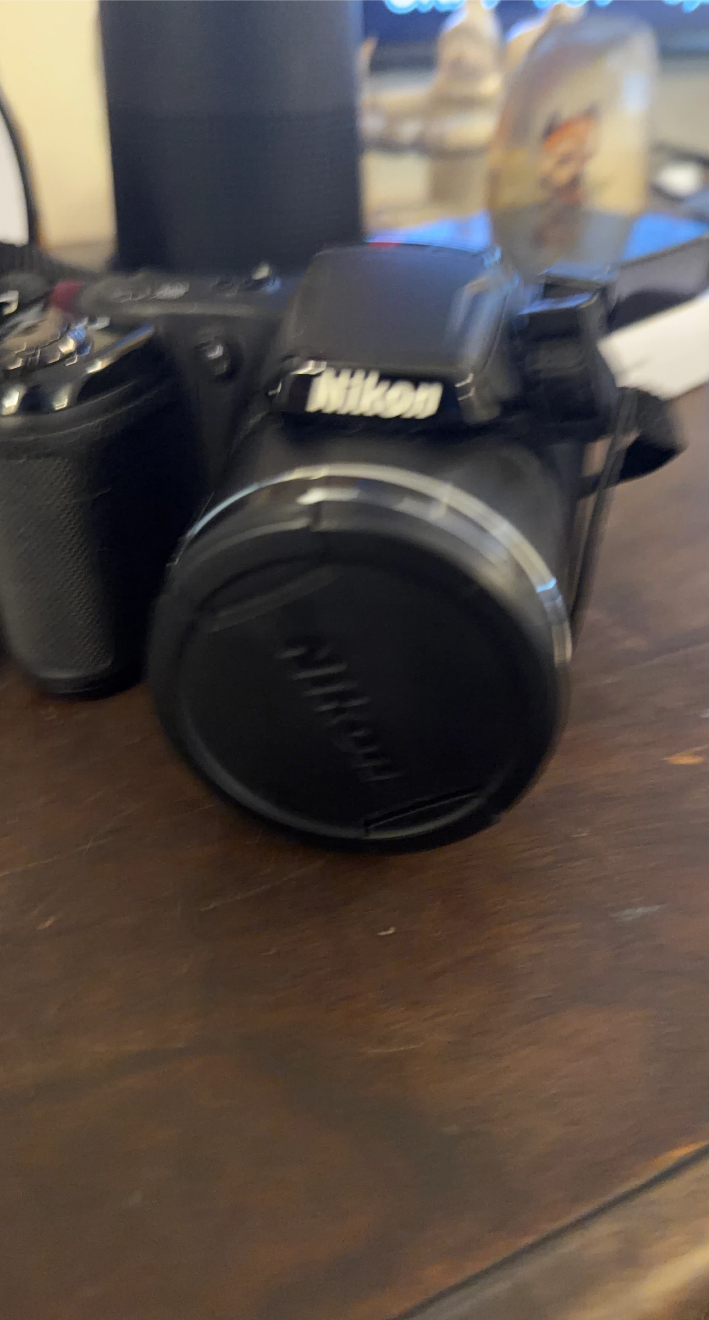 Nikon Digital Camera