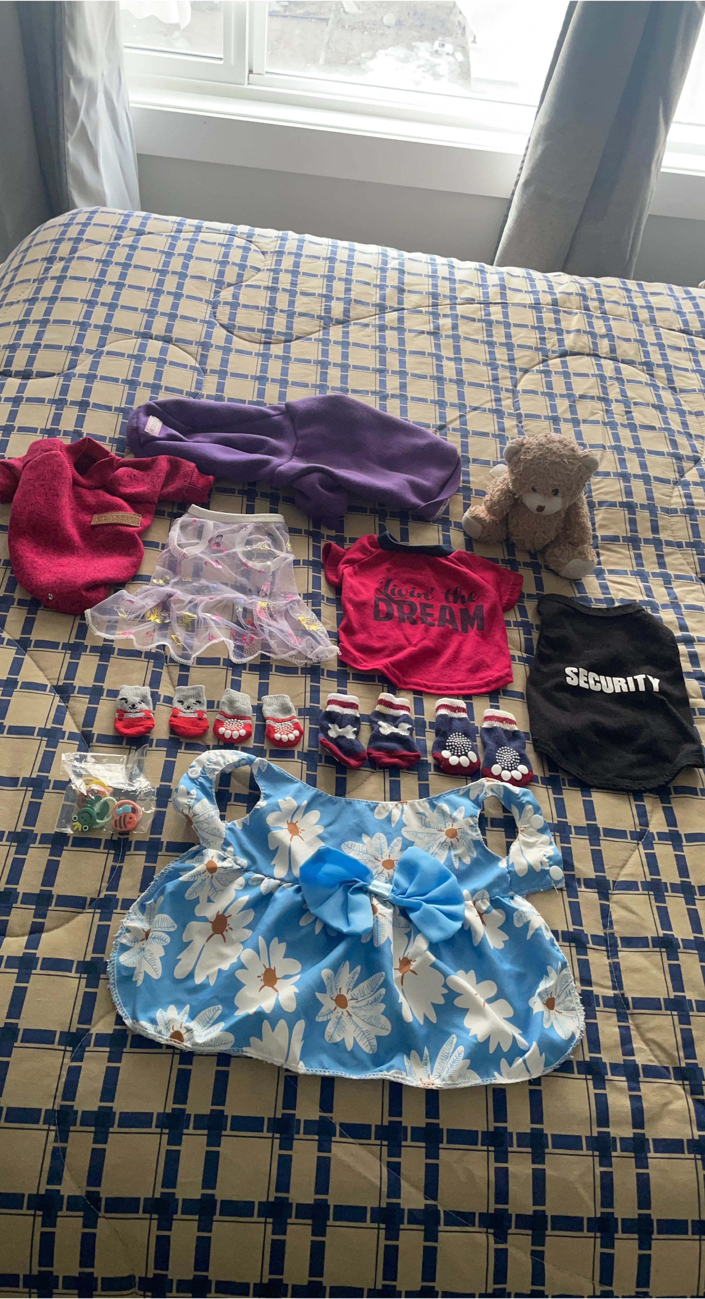 Dog Clothes and Accessories Lot