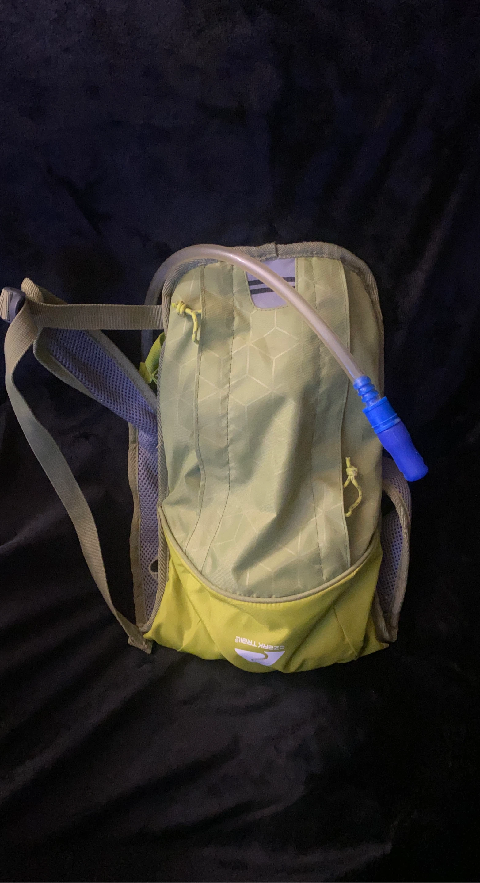 Ozark Trail Hydration Backpack