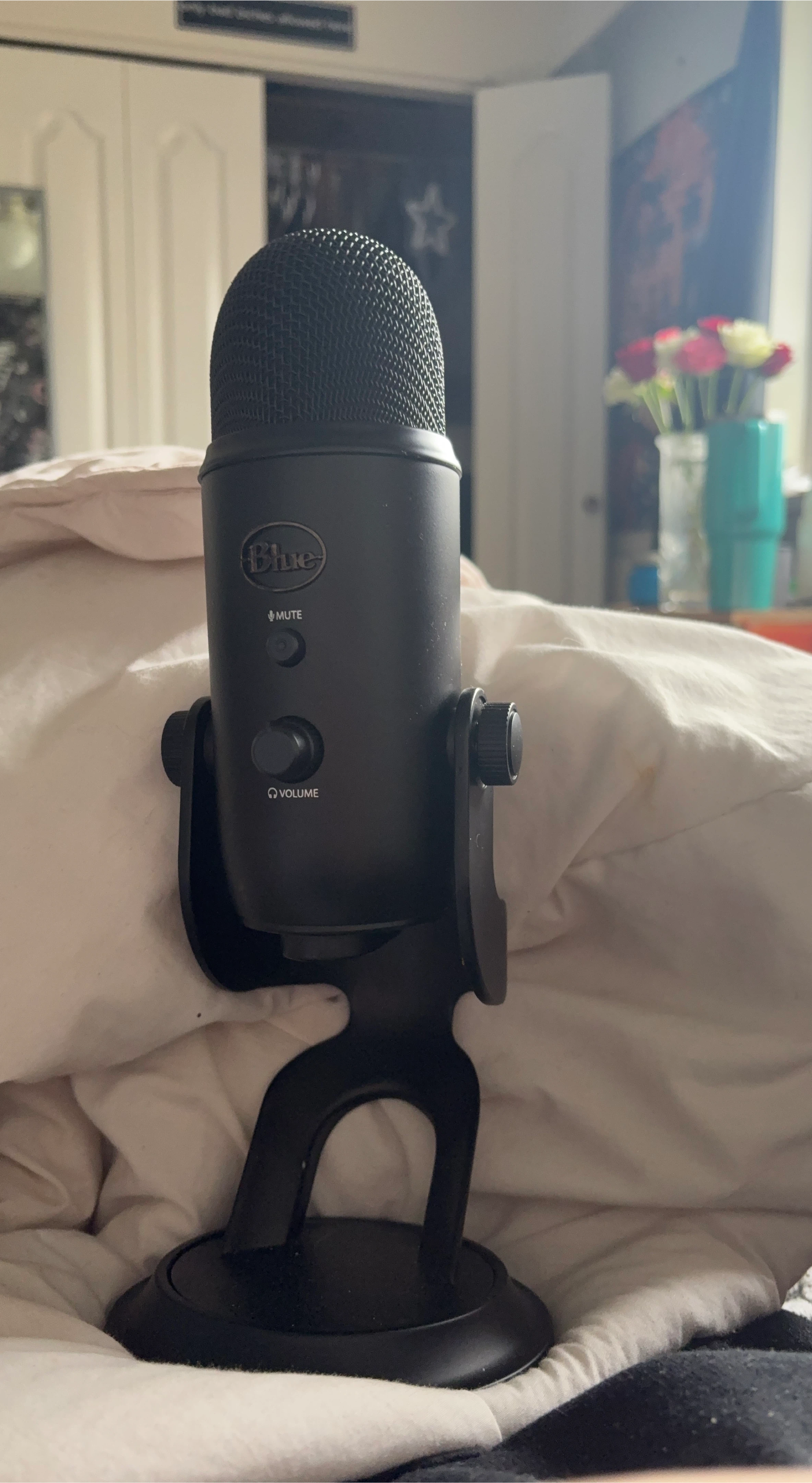Blue Yeti USB Microphone