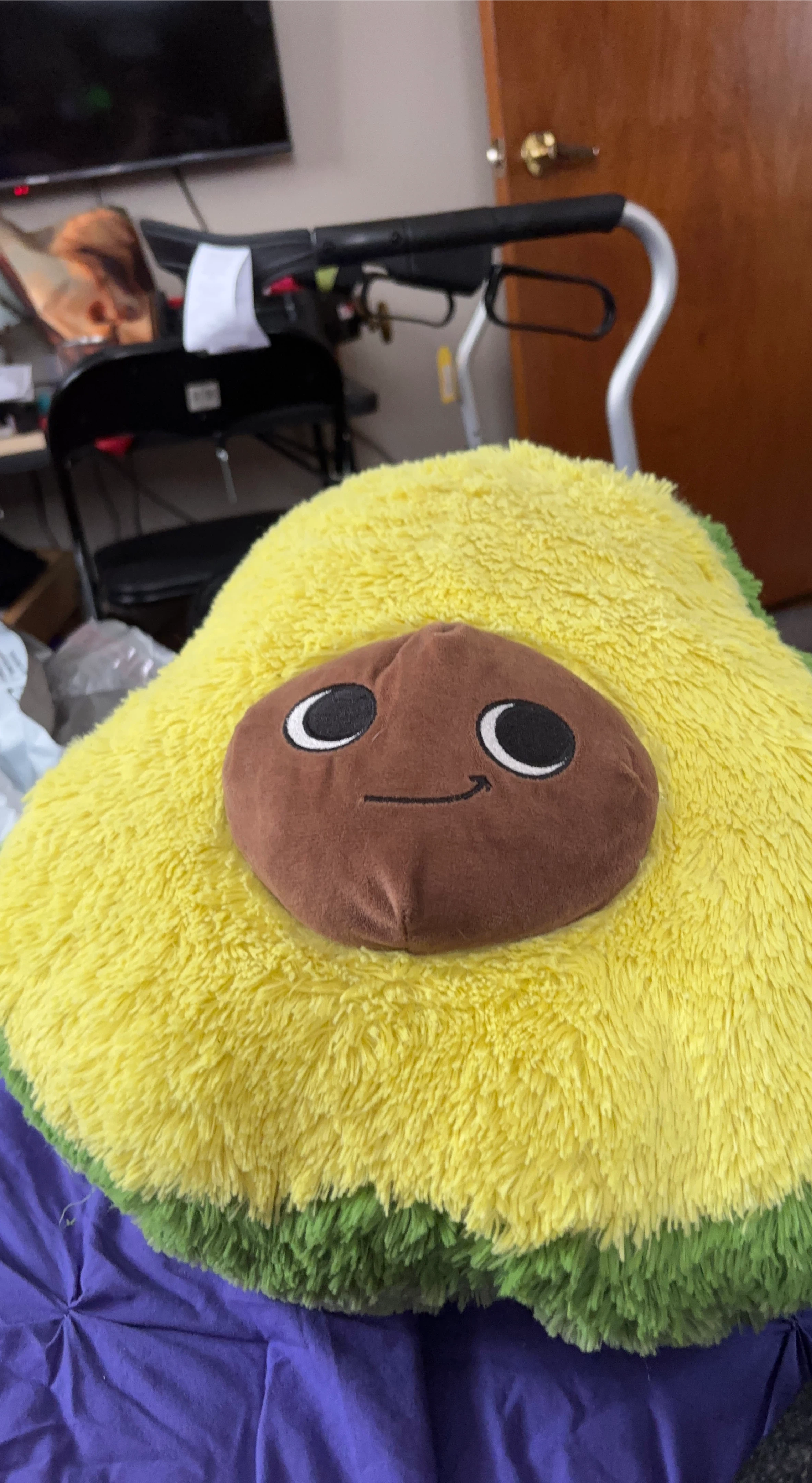 Plush Avocado Pillow