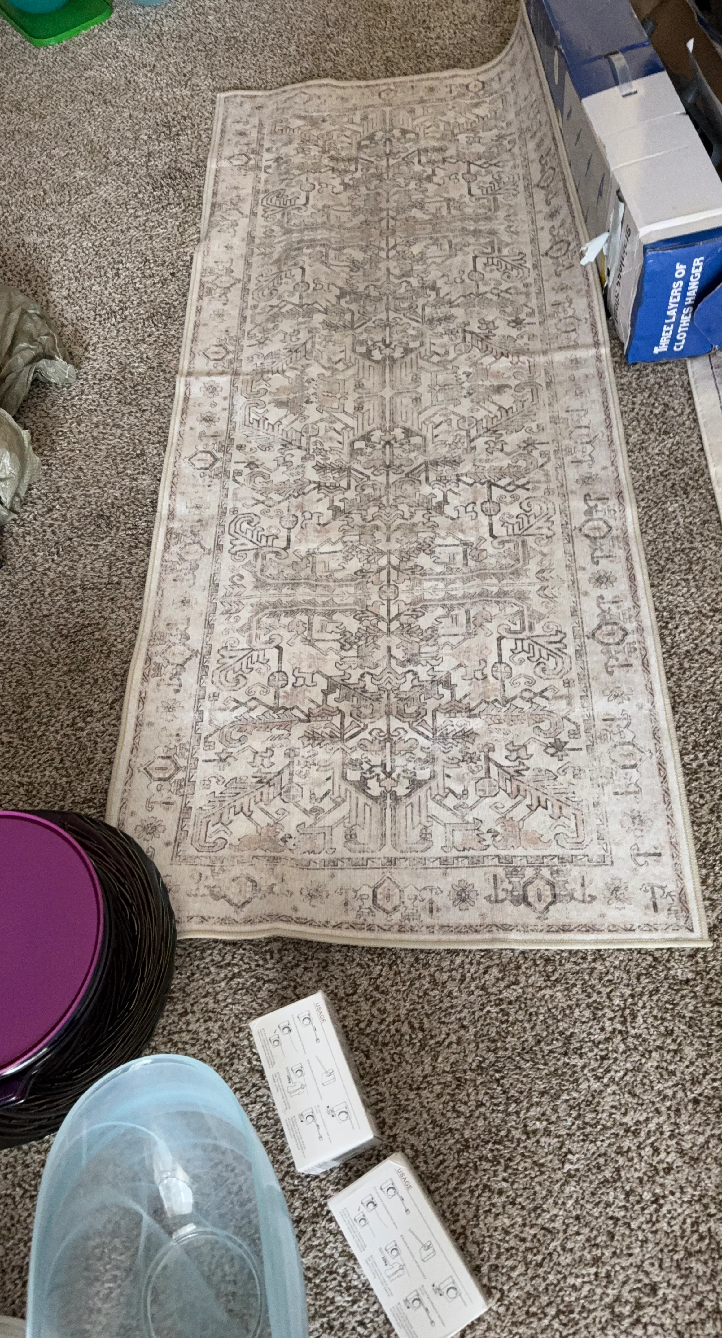 Persian Style Area Rug