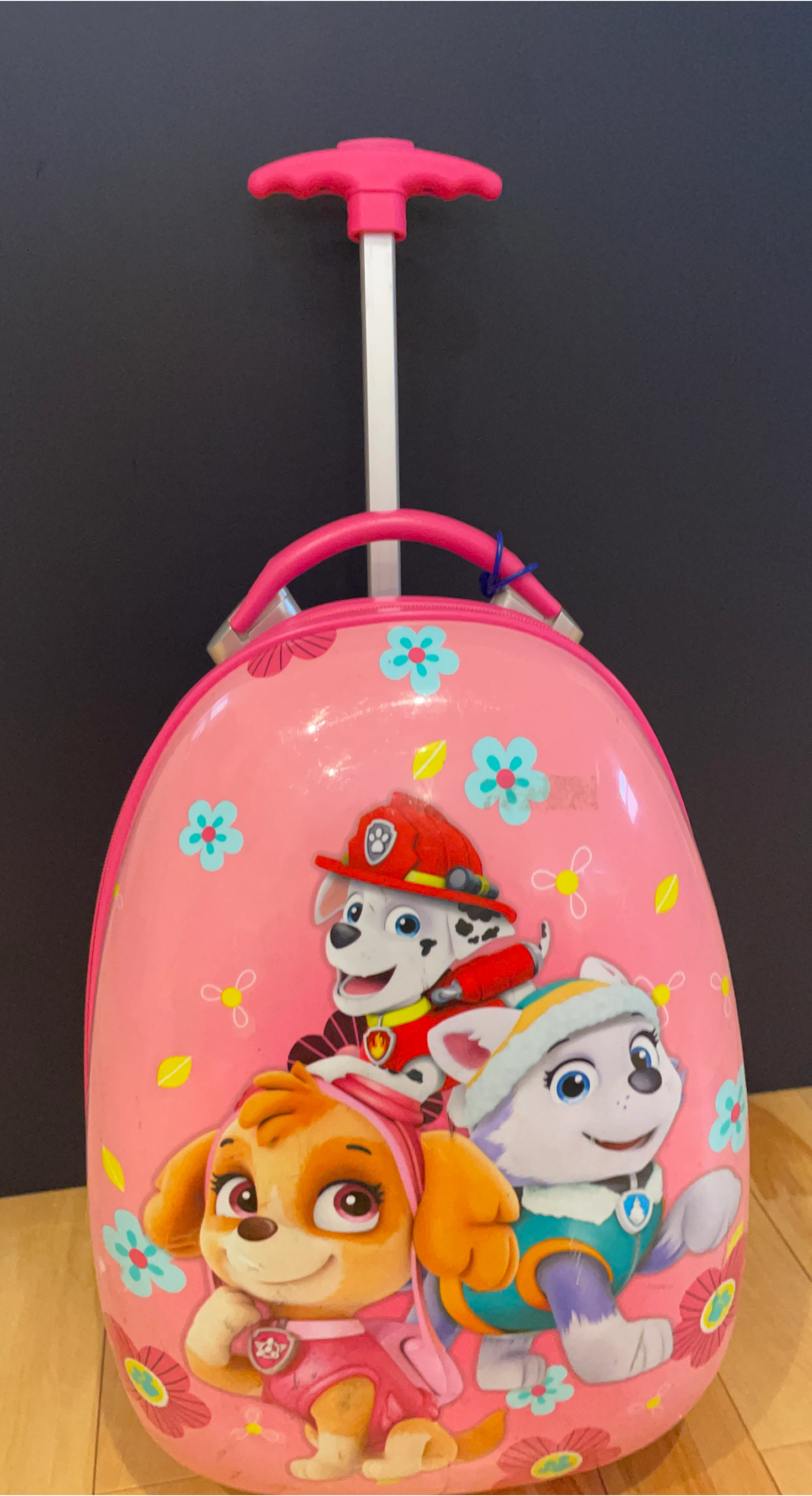 Kids Paw Patrol Rolling Luggage Suitcase