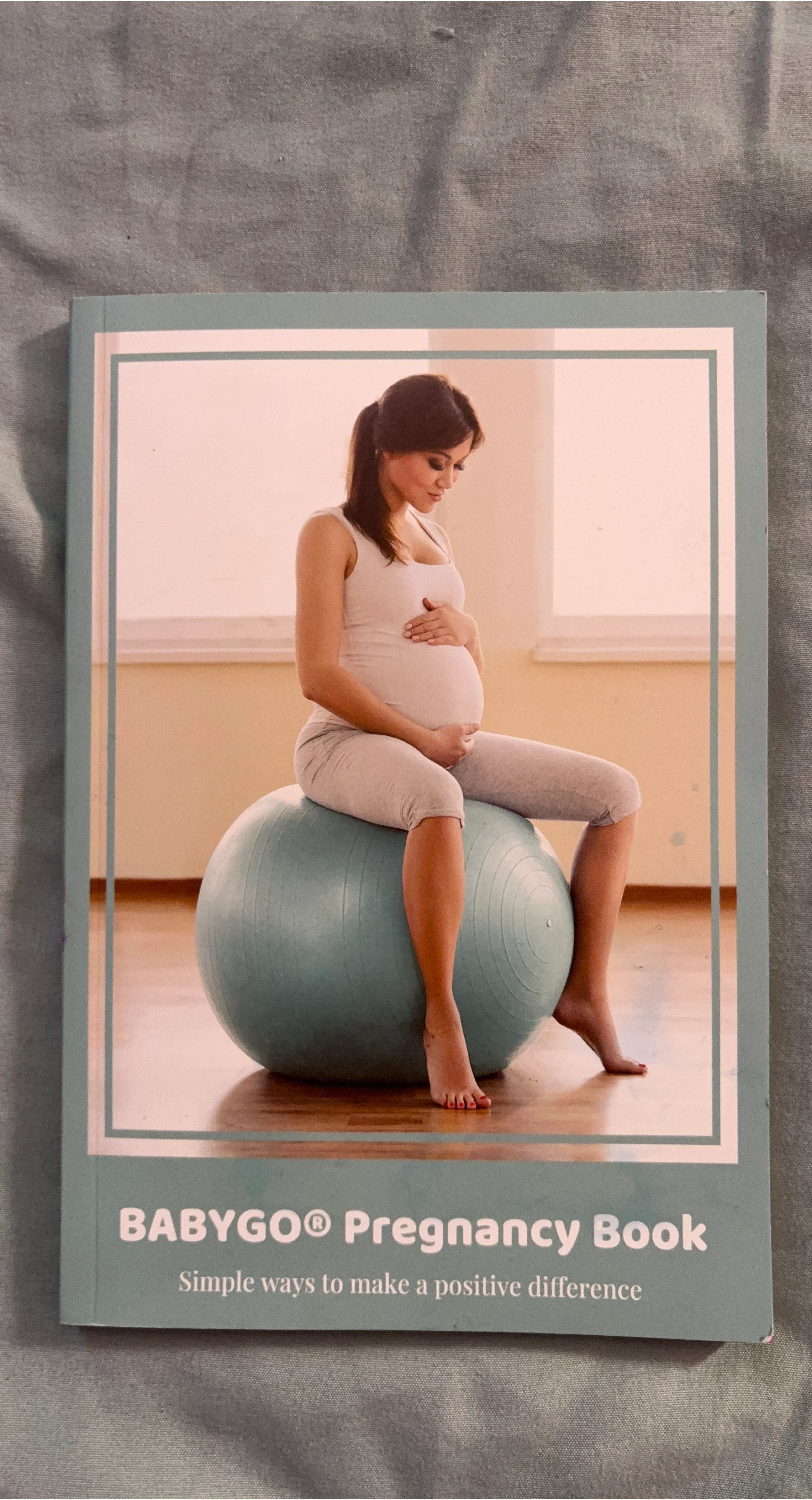 BABYGO Pregnancy Book