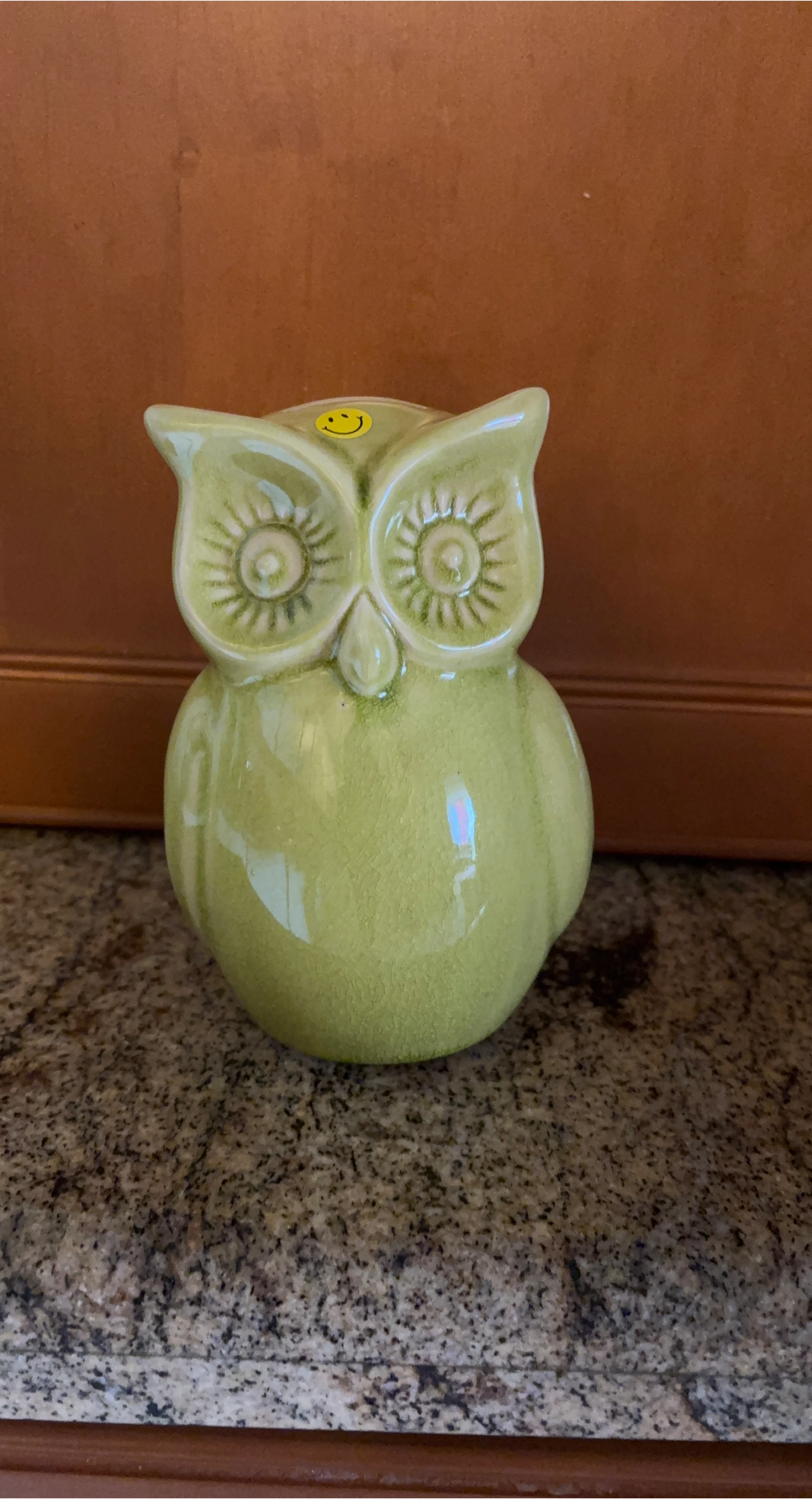 Light Green Owl Ceramic Coin Bank with Smiley Face